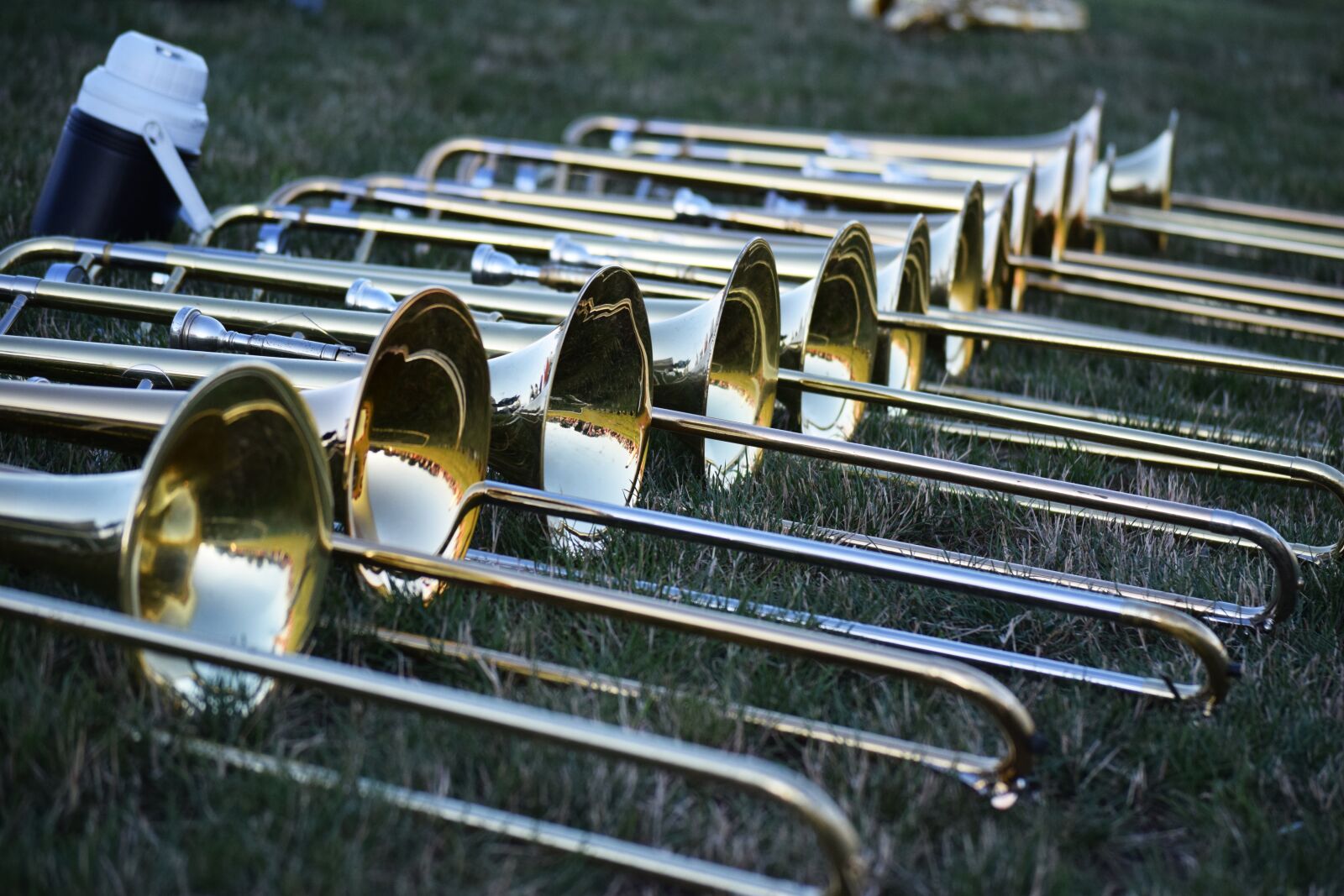Nikon D3300 sample photo. Music, musical instruments, horns photography