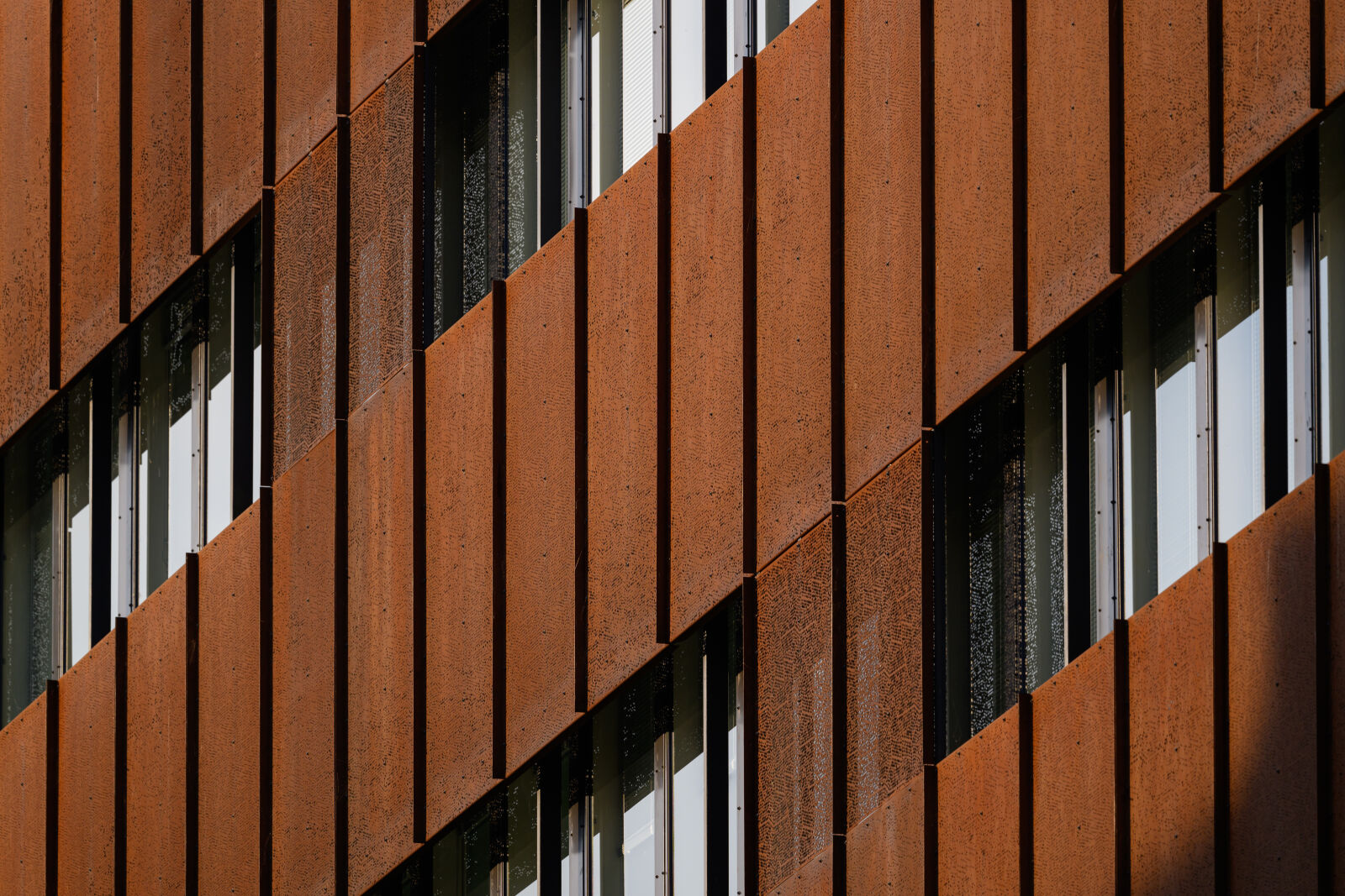Nikon Z8 sample photo. Window abstract photography