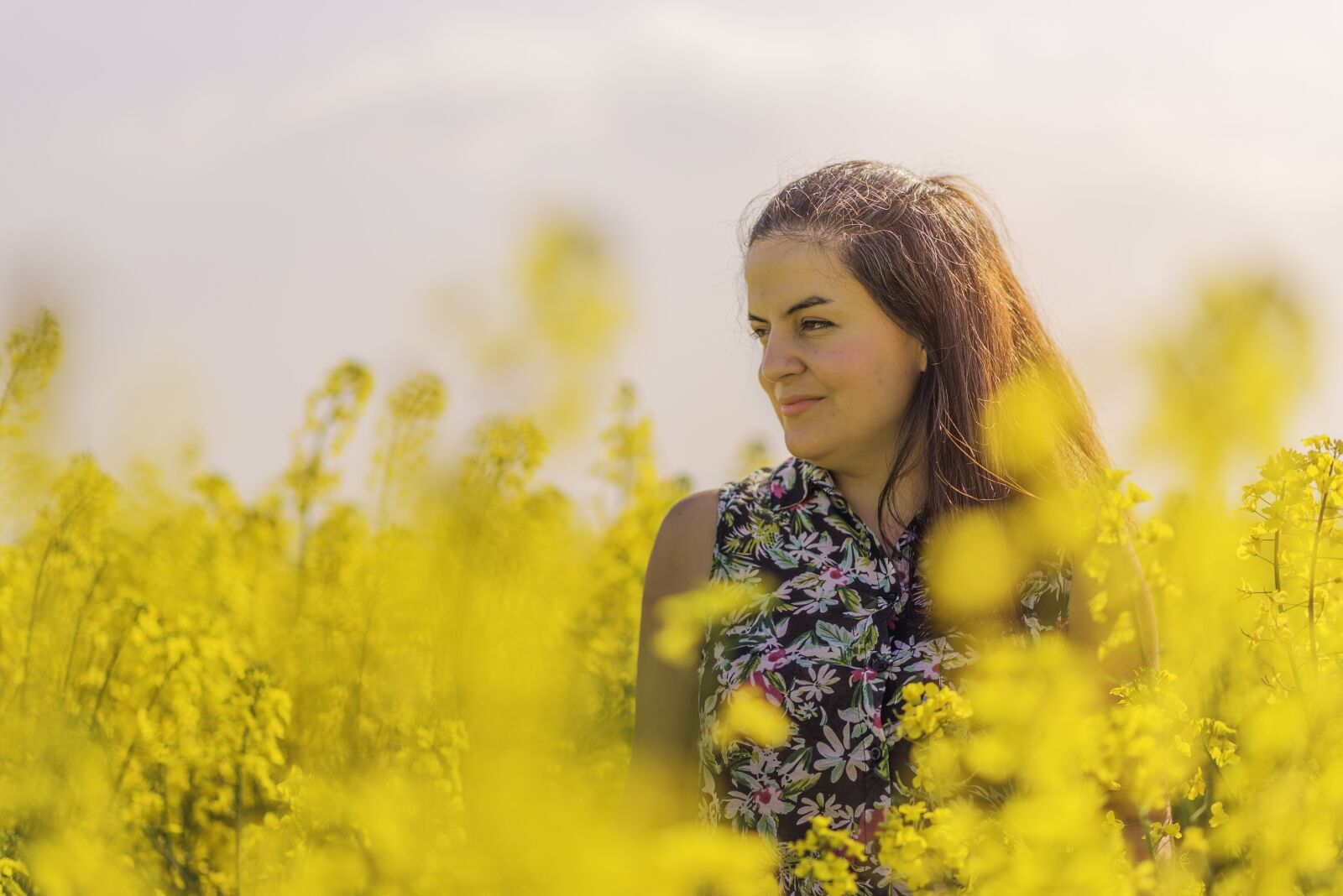 Nikon D750 sample photo. Nature, field, nice photography