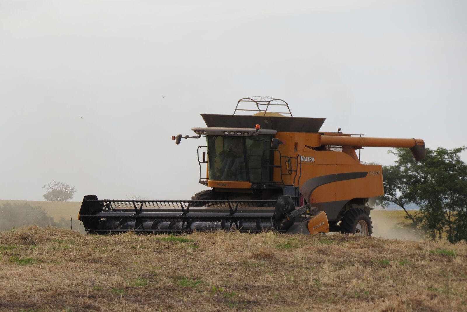 Canon PowerShot SX50 HS sample photo. Agriculture, field, farm photography