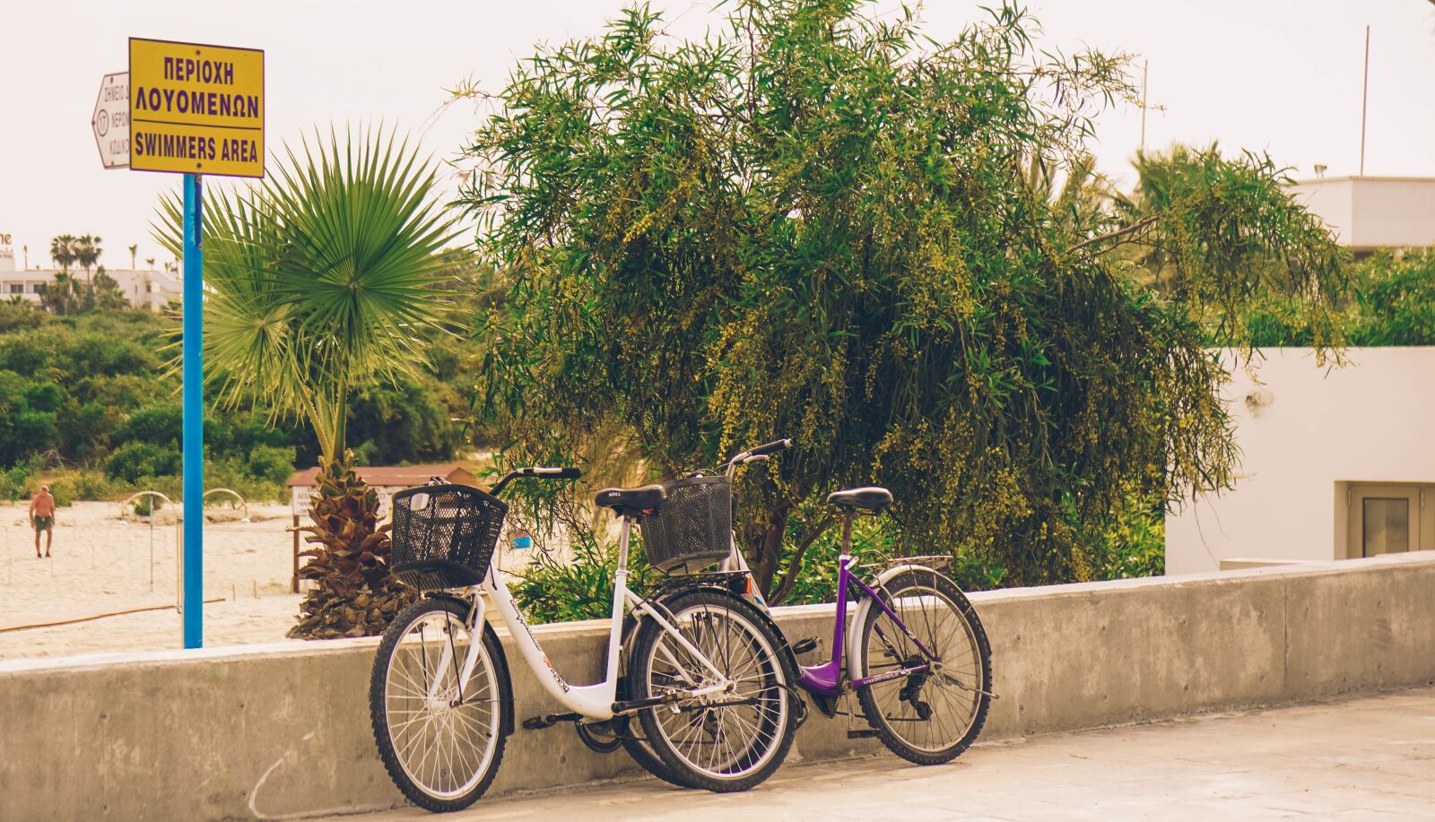Sony a6000 + Sony Vario-Tessar T* E 16-70mm F4 ZA OSS sample photo. Bicycles, cyprus, bush photography