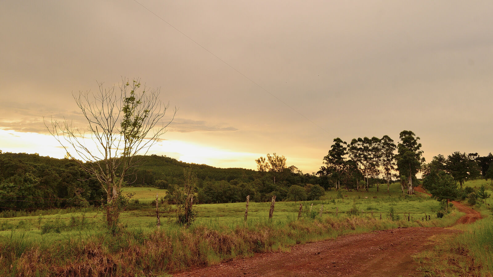 Nikon D5100 sample photo