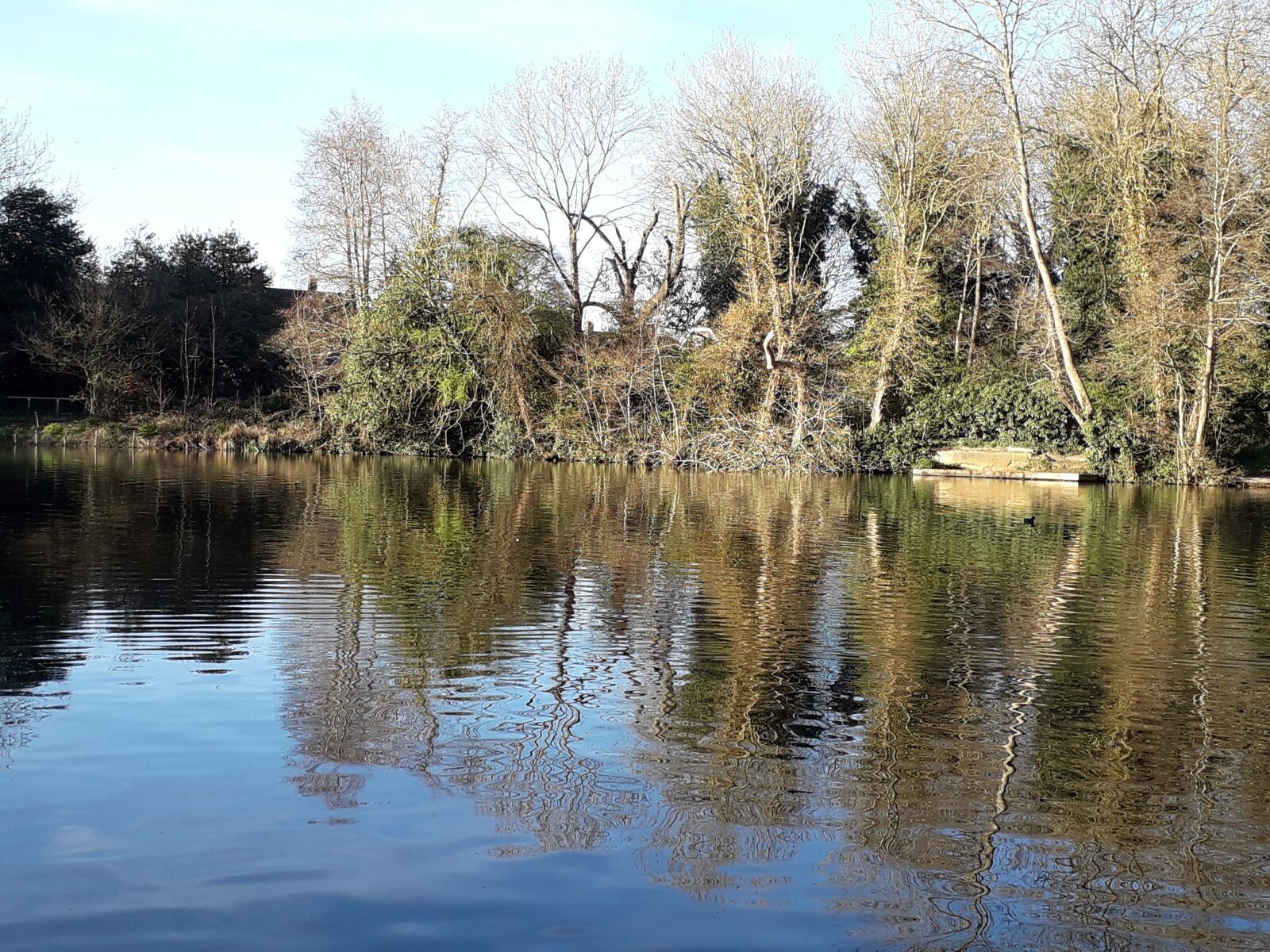 Samsung Galaxy J6 sample photo. Lake, trees, reflection photography