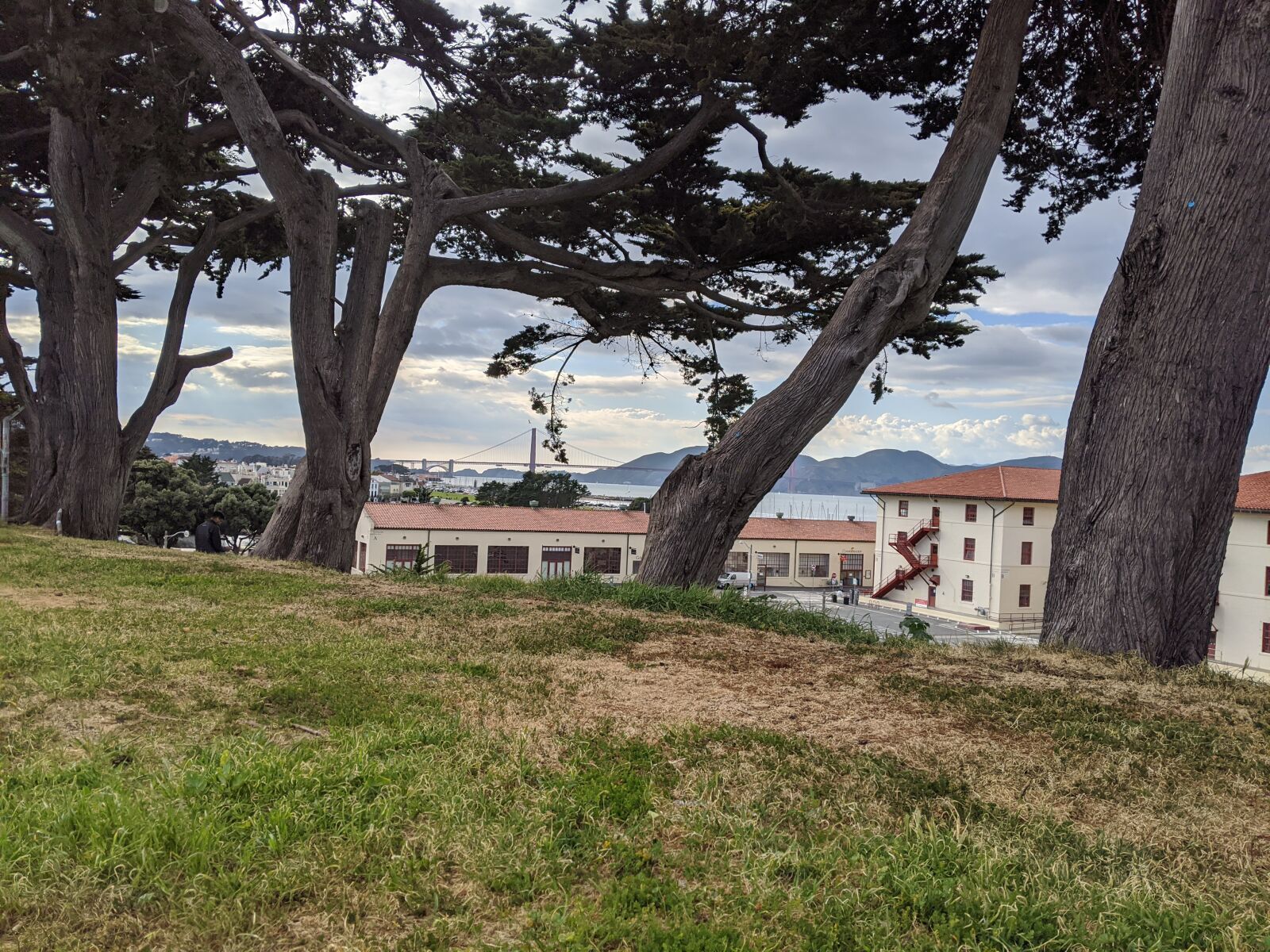 Google Pixel 3 XL sample photo. Park, trees, grass photography