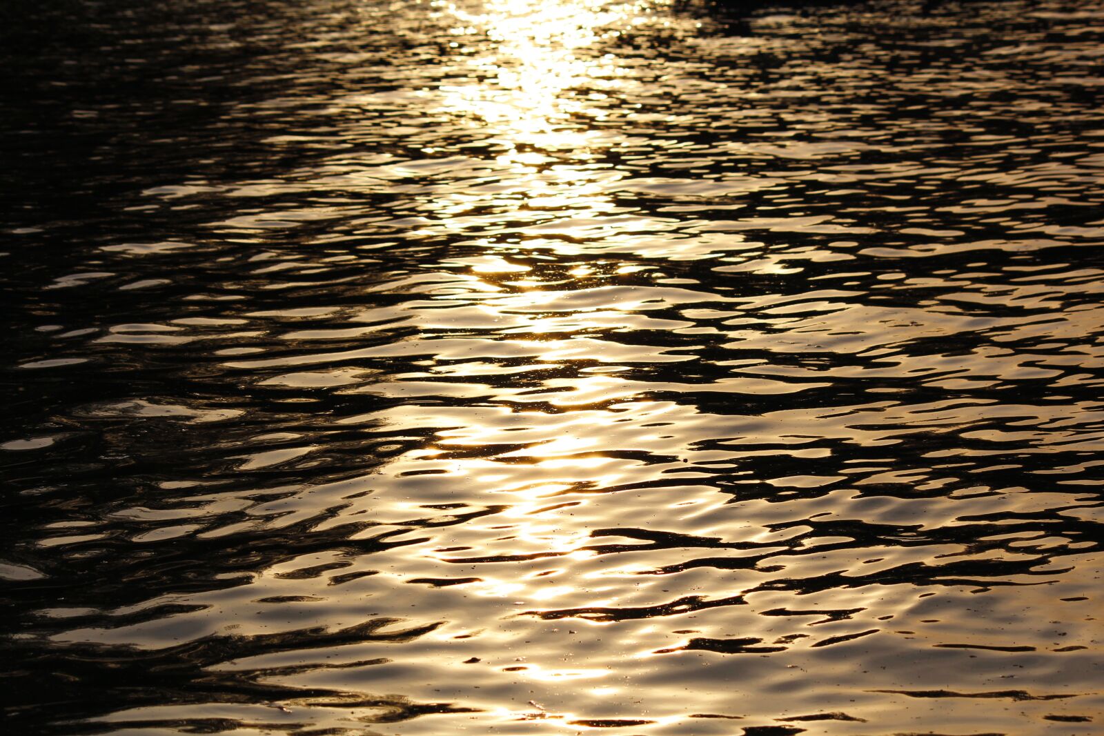 Canon EOS 600D (Rebel EOS T3i / EOS Kiss X5) sample photo. Nature, water, reflection photography