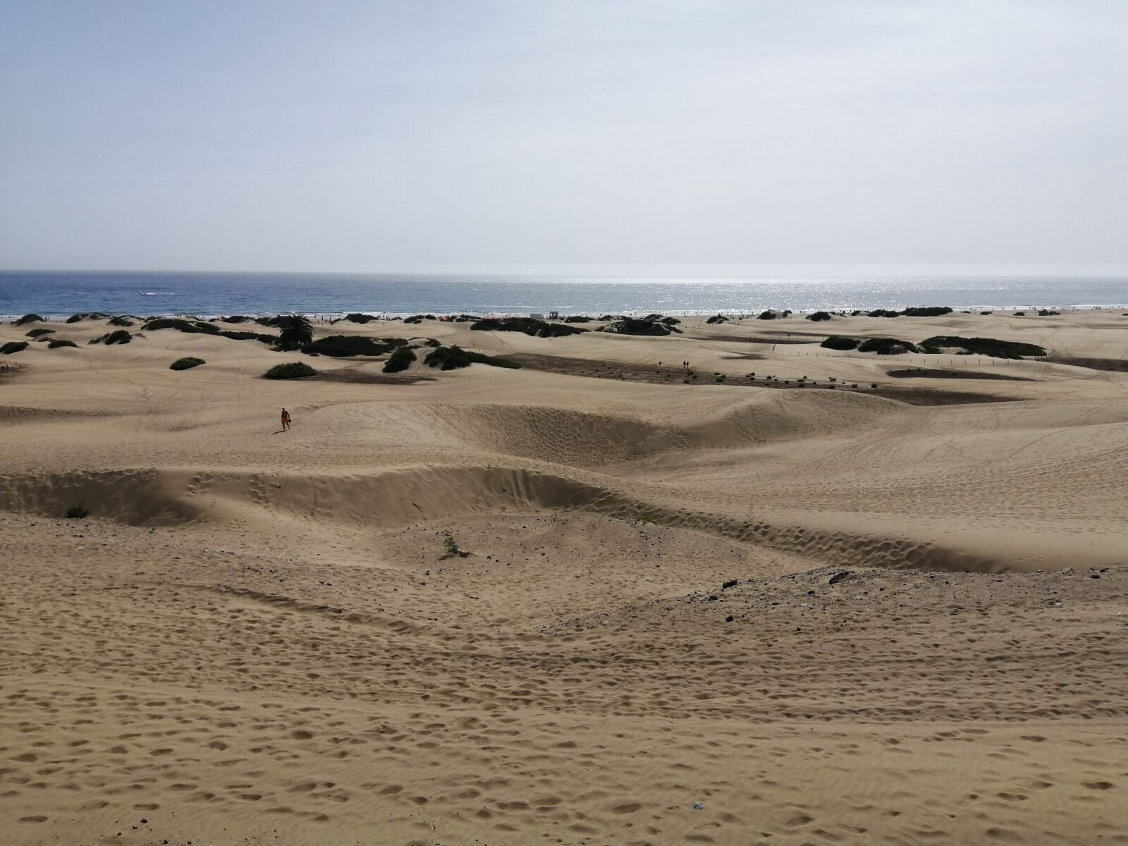 HUAWEI P SMART 2019 sample photo. Dunas, beach, sea photography