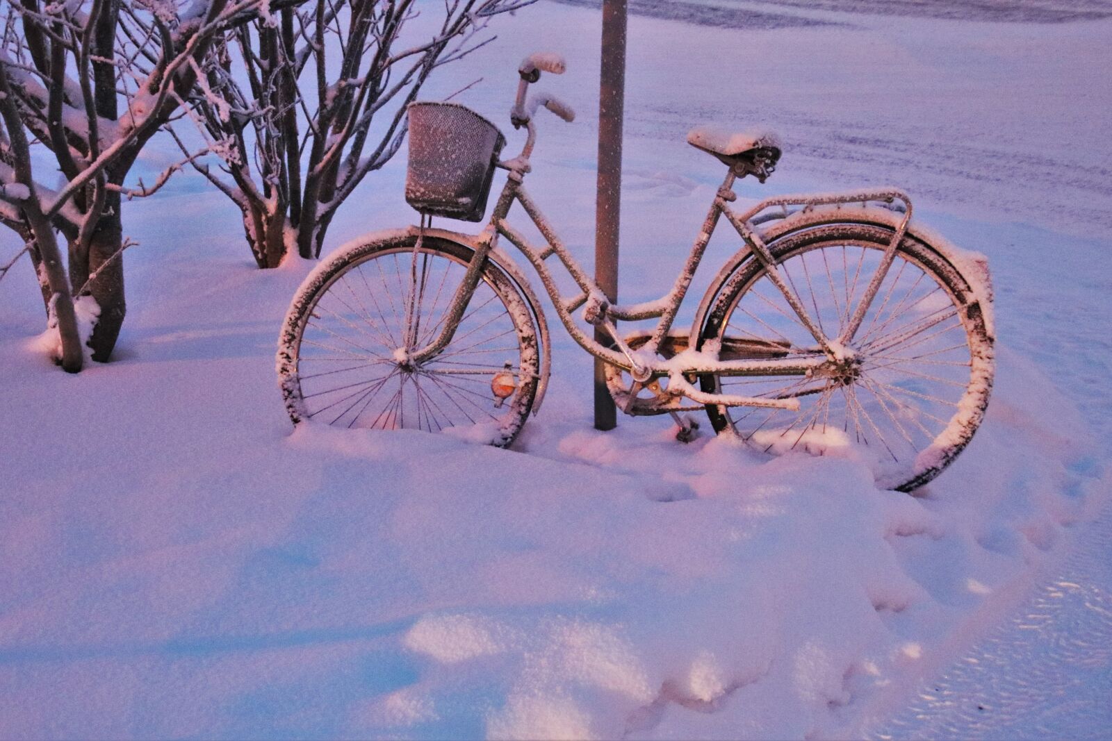 Canon EOS 80D sample photo. Snow, dawn, bike photography