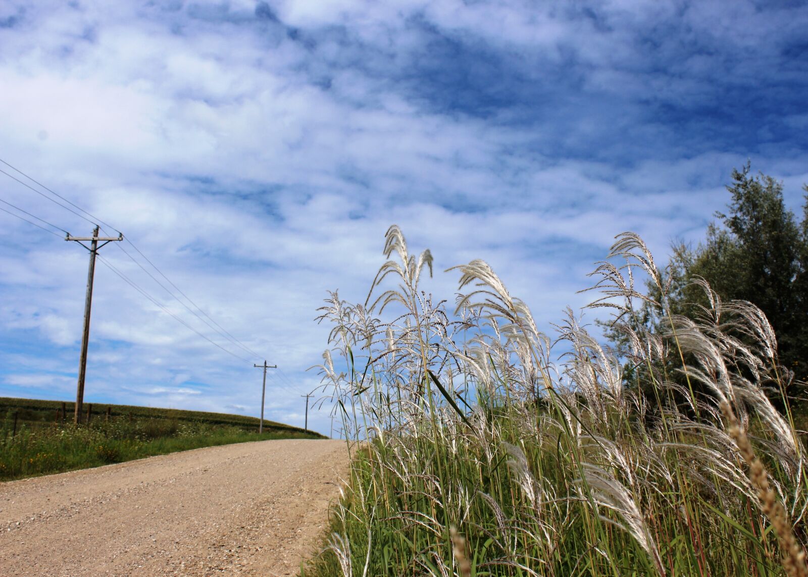 Canon EOS 1200D (EOS Rebel T5 / EOS Kiss X70 / EOS Hi) sample photo. Nature, grass, sky photography