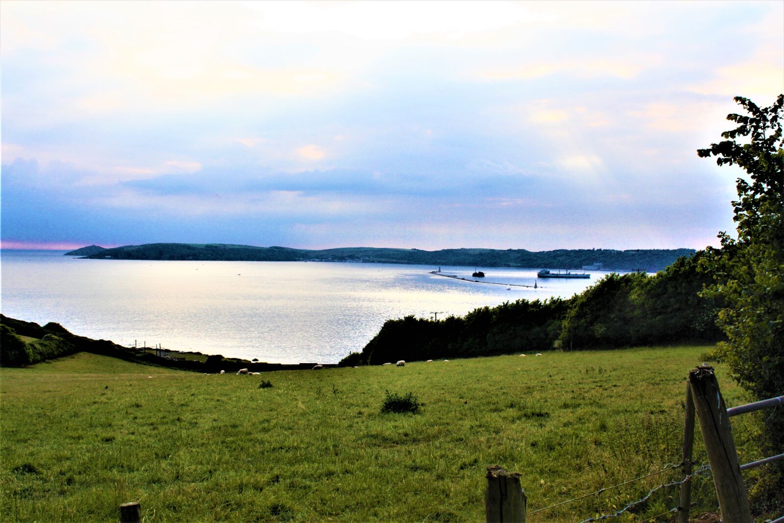 Canon EOS 1000D (EOS Digital Rebel XS / EOS Kiss F) sample photo. The south west of photography