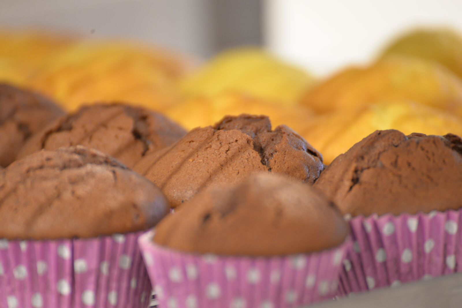 Nikon D610 sample photo. Pastry, pastries, cake photography