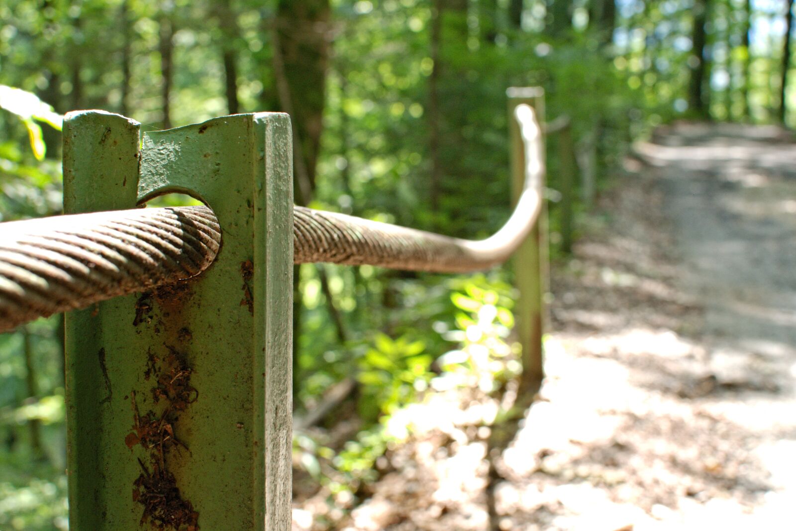 Nikon D7100 sample photo. Barrier, steel cable, rope photography