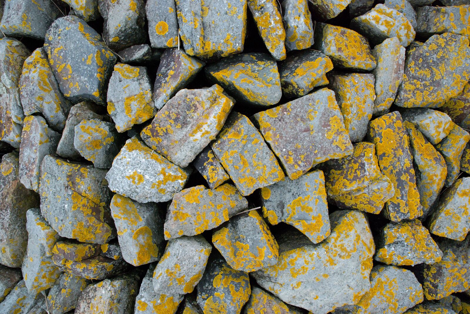 Nikon D80 sample photo. Stones, weave, structure photography