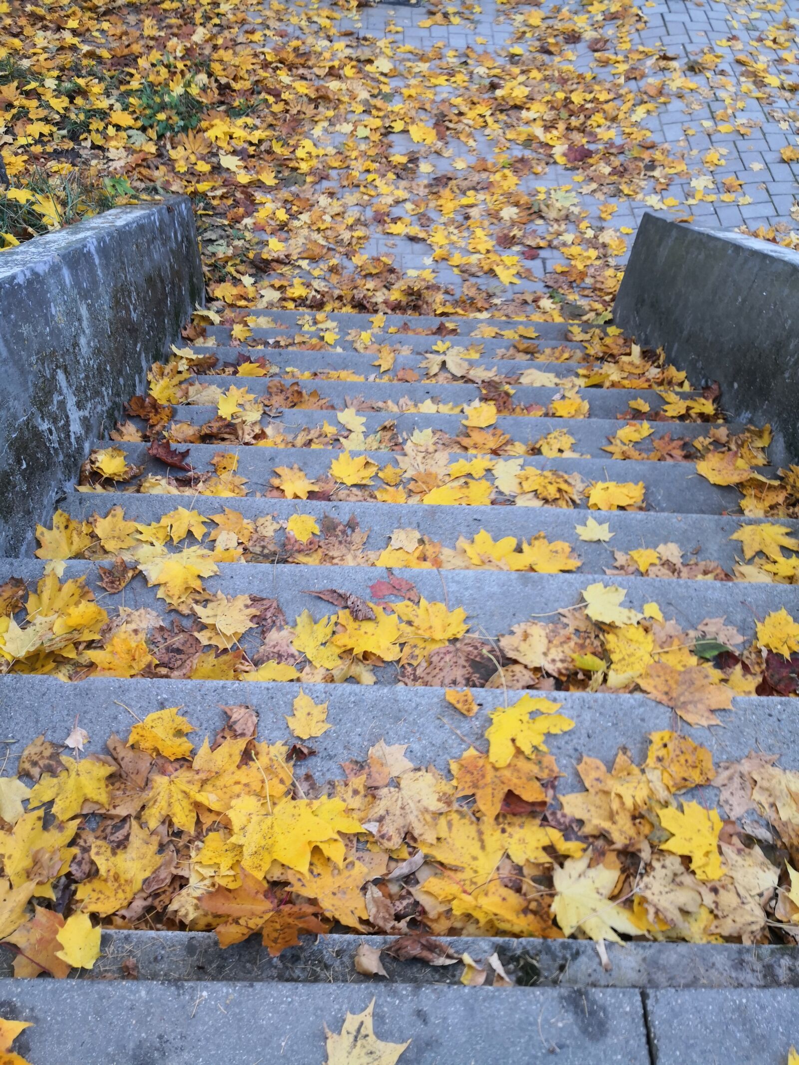 HUAWEI Mate 10 Pro sample photo. Gold, stairs, leaves photography
