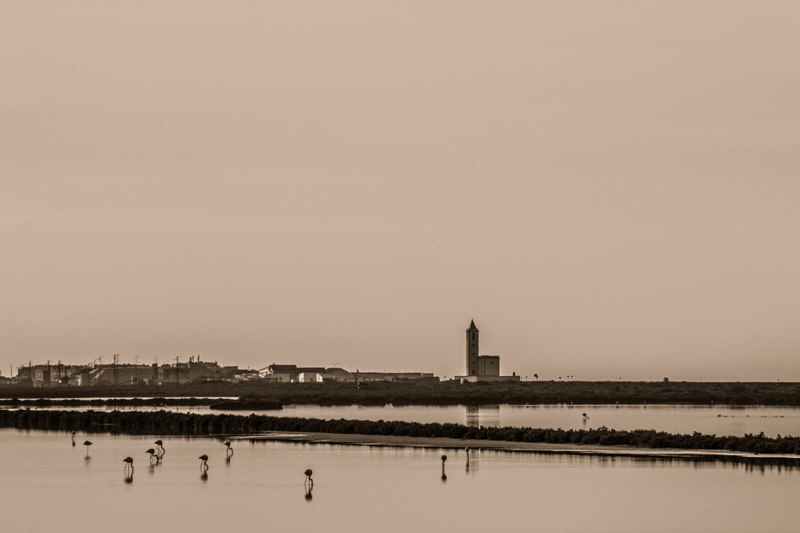 Canon EOS 550D (EOS Rebel T2i / EOS Kiss X4) sample photo. Almeria, cabo de gata photography
