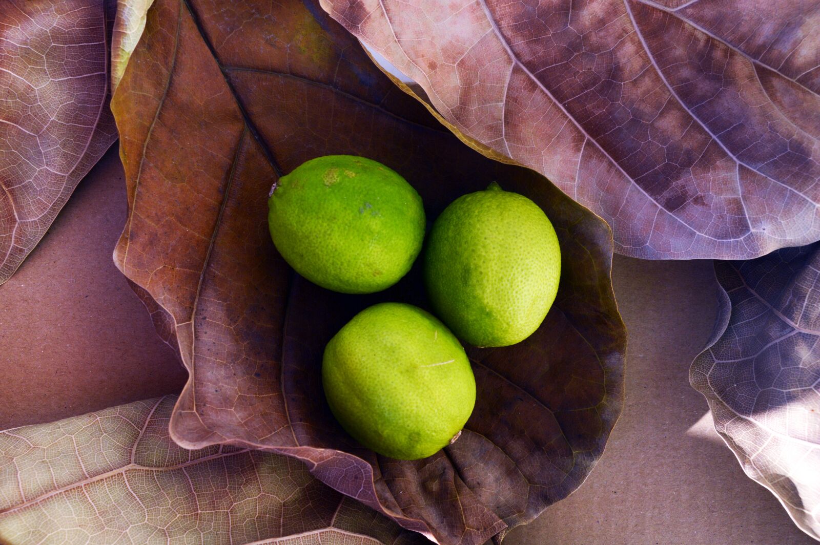 Nikon D3200 sample photo. Lime, still life, fruits photography