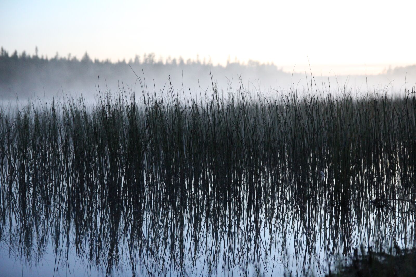 Canon EOS 550D (EOS Rebel T2i / EOS Kiss X4) sample photo. Reflection, water, lake photography