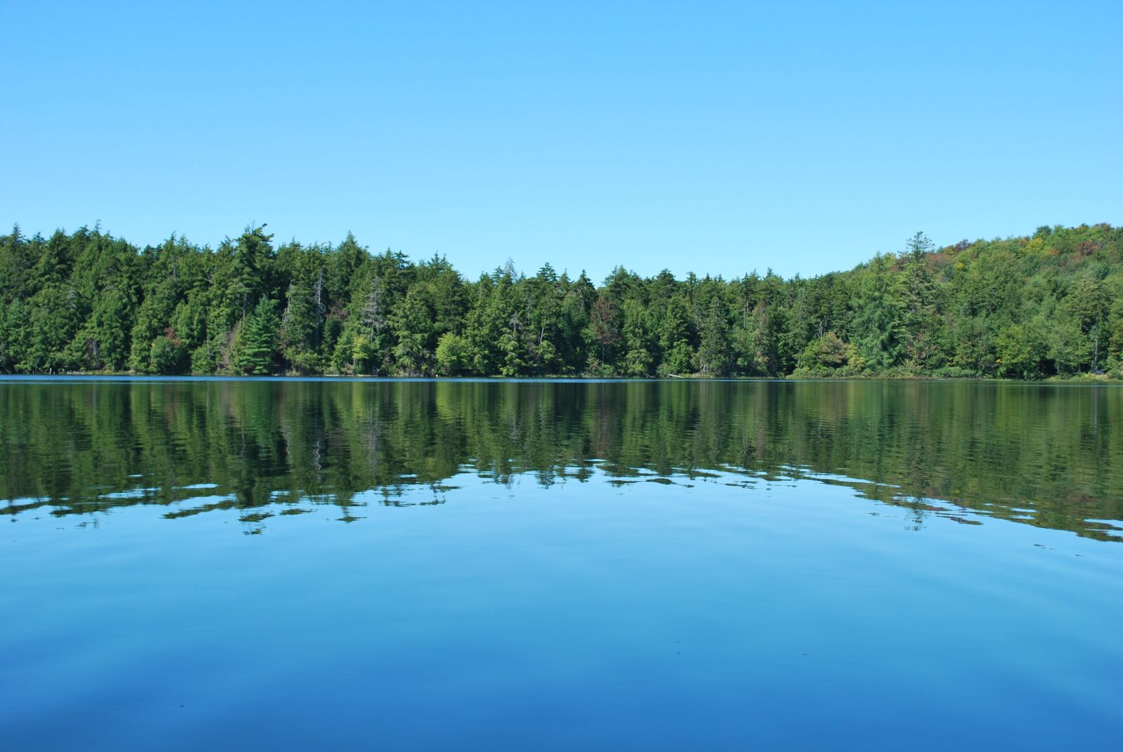 Nikon D60 sample photo. Lake, nature, trees photography