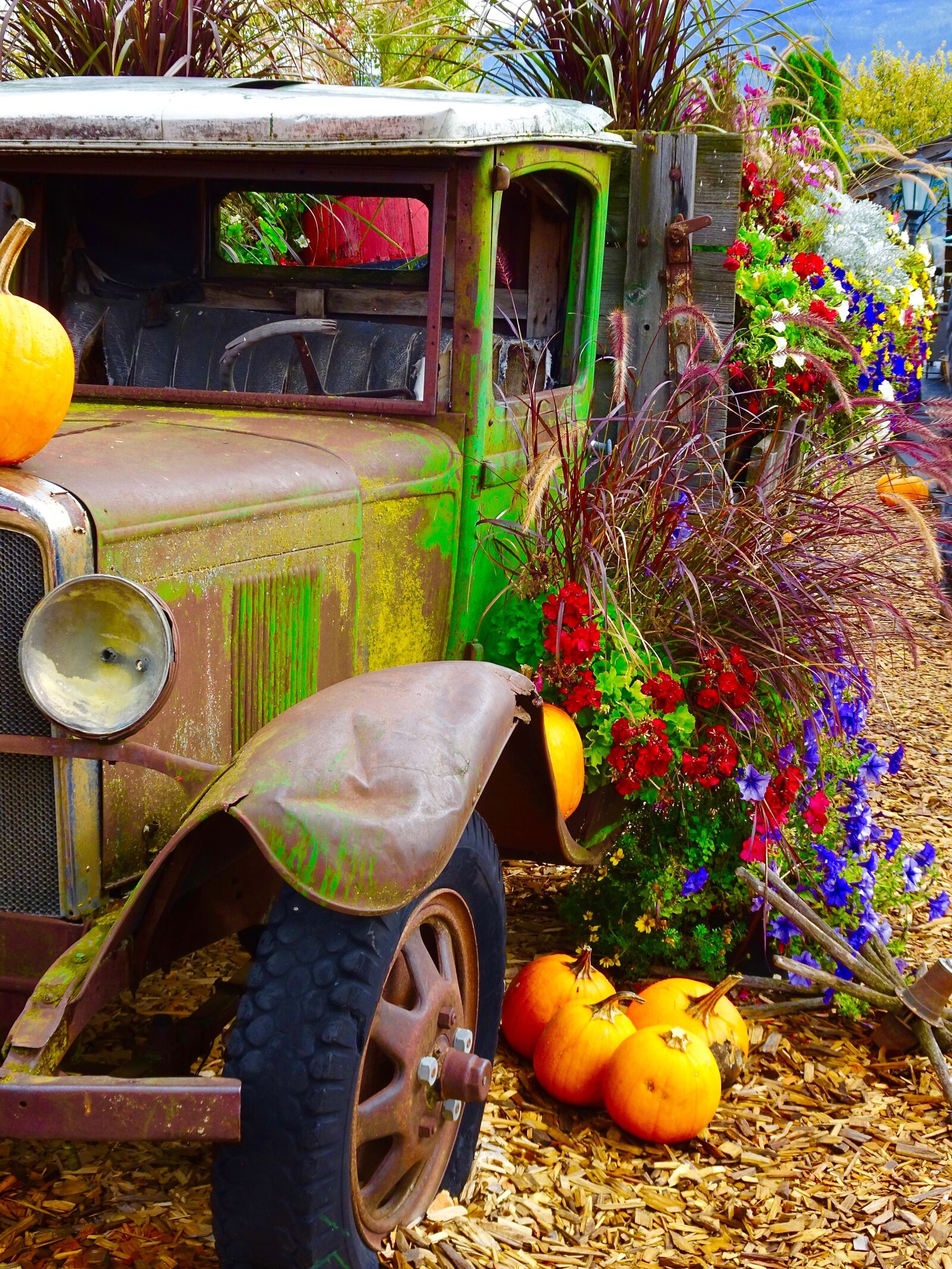 Sony Cyber-shot DSC-HX90V sample photo. Truck, pumpkins, flowers photography