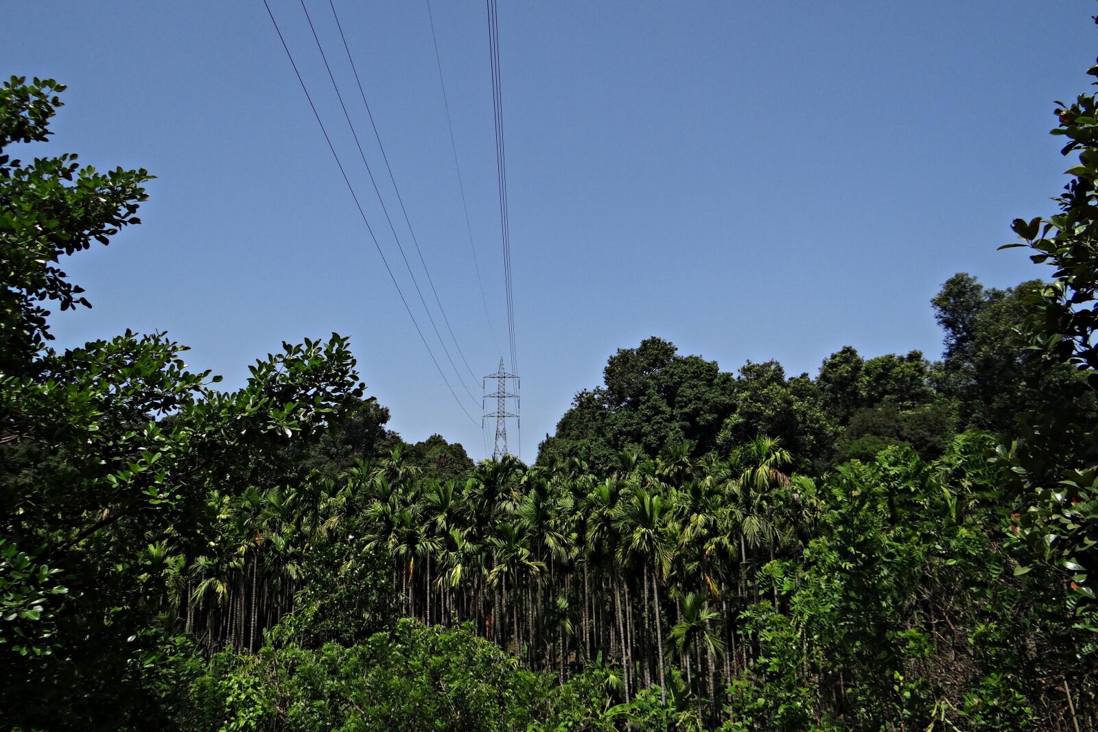 Sony DSC-HX200V sample photo. Pylon, electric power, power photography