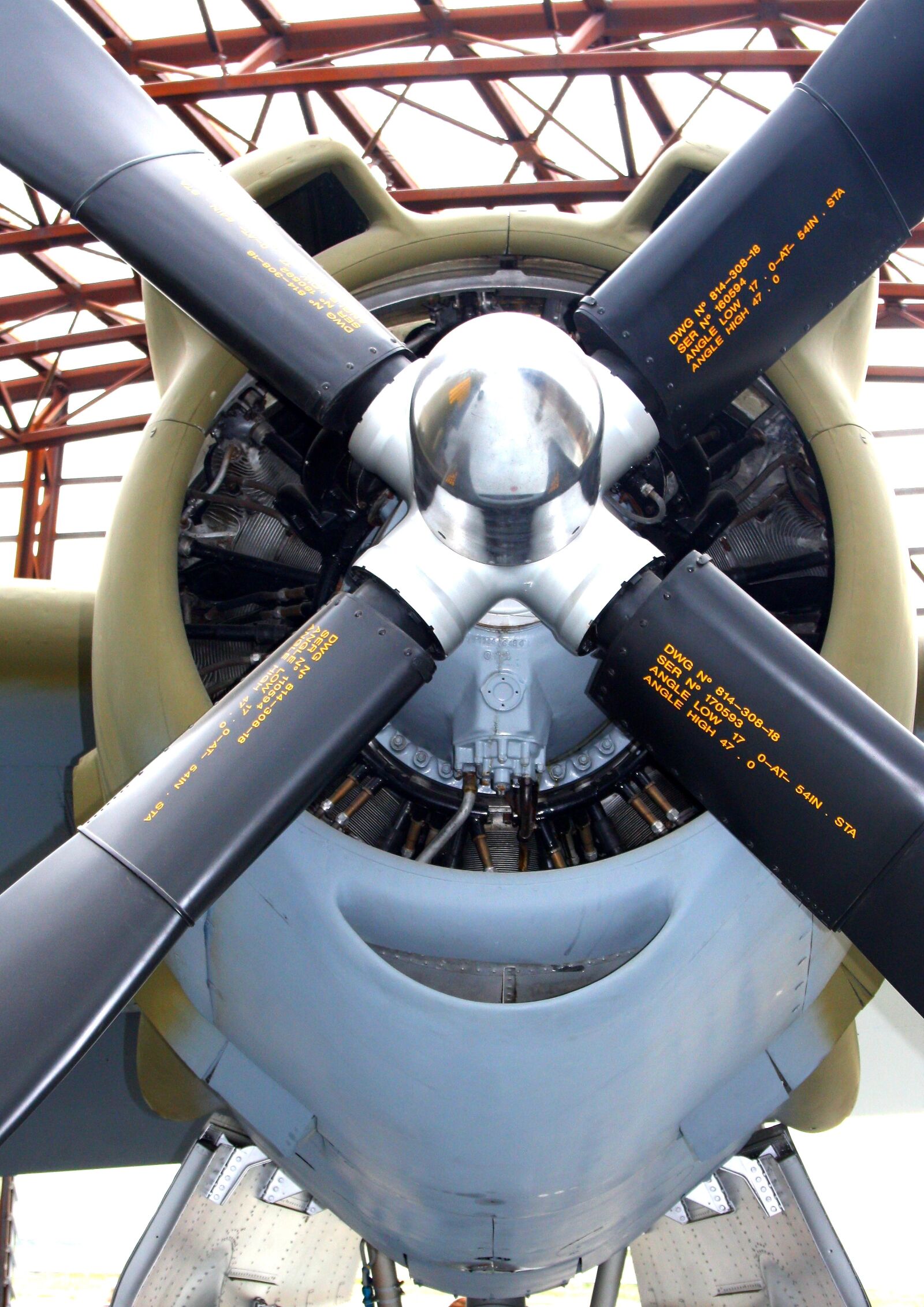 Canon EOS 1000D (EOS Digital Rebel XS / EOS Kiss F) sample photo. B 26, marauder, radial engine photography