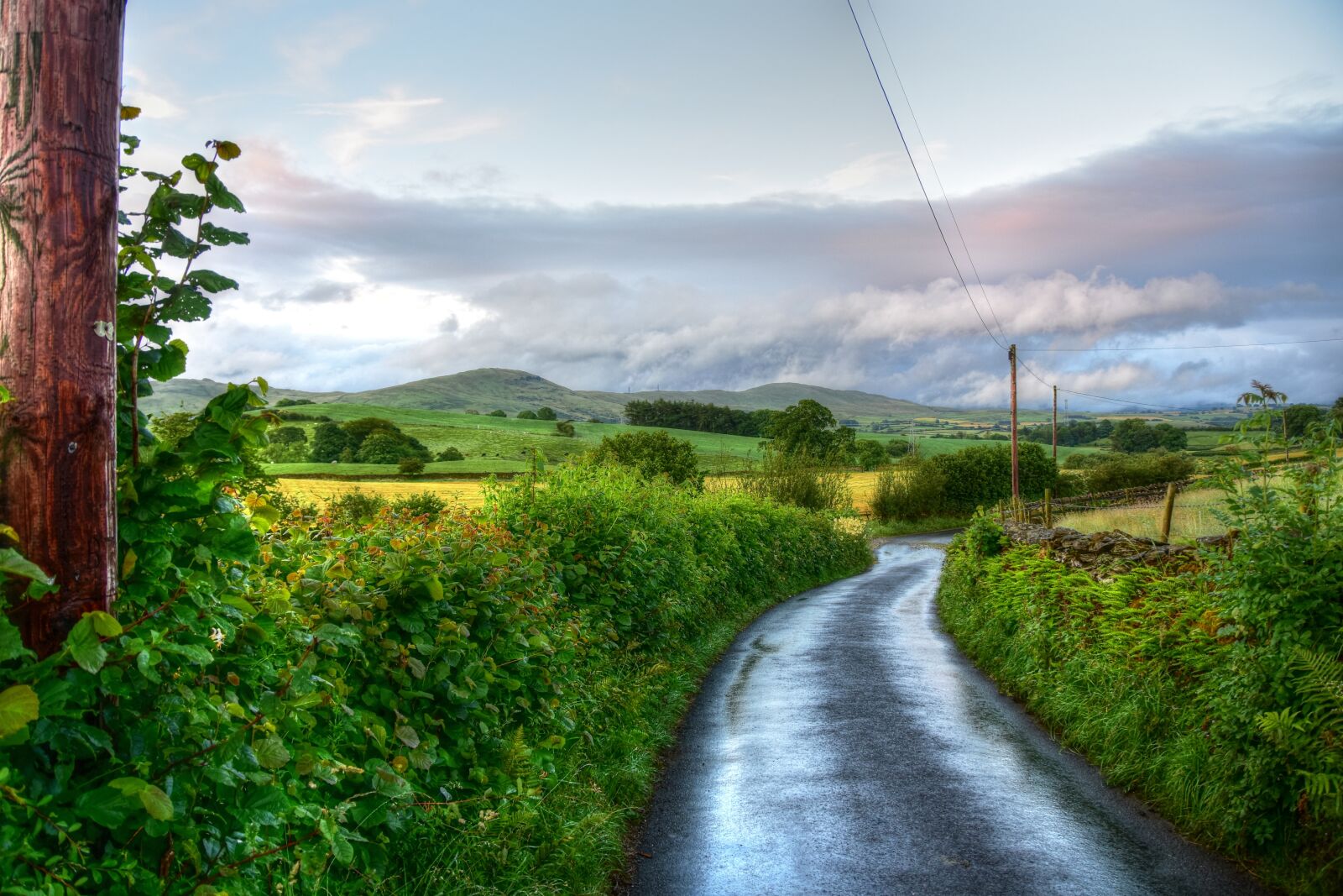 Nikon D7200 sample photo. Road, hills, landscape photography