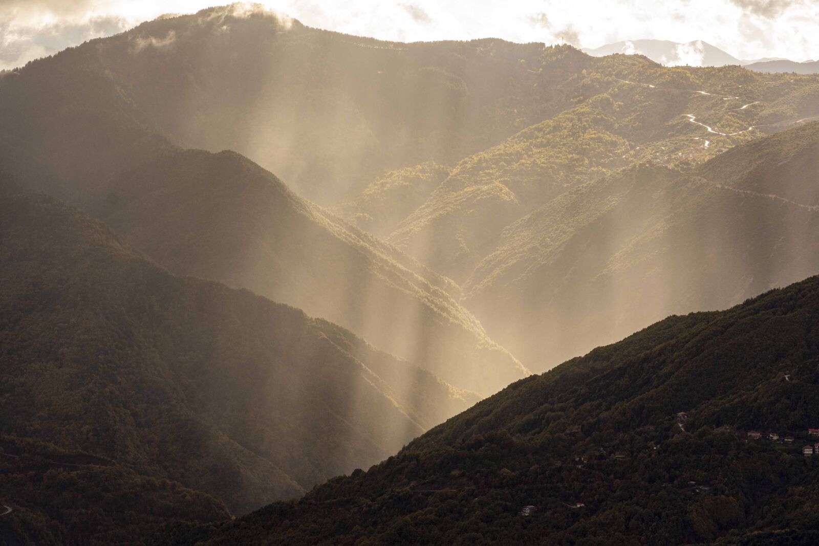 Nikon D7200 sample photo. Light, rays, mood photography