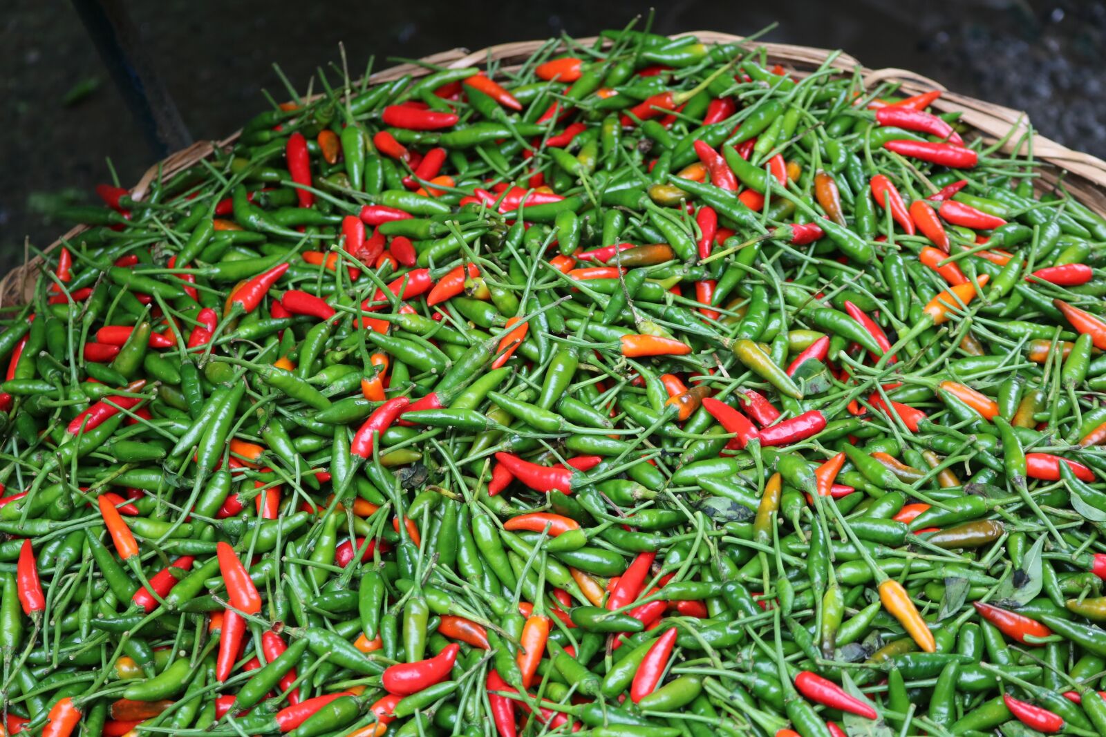 Canon EOS 750D (EOS Rebel T6i / EOS Kiss X8i) sample photo. Pepper, fair, vegetables photography