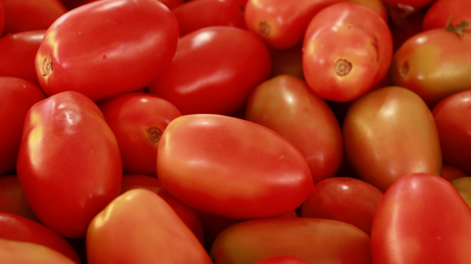 Canon EOS 70D sample photo. Tomato, fruit, vegetables photography
