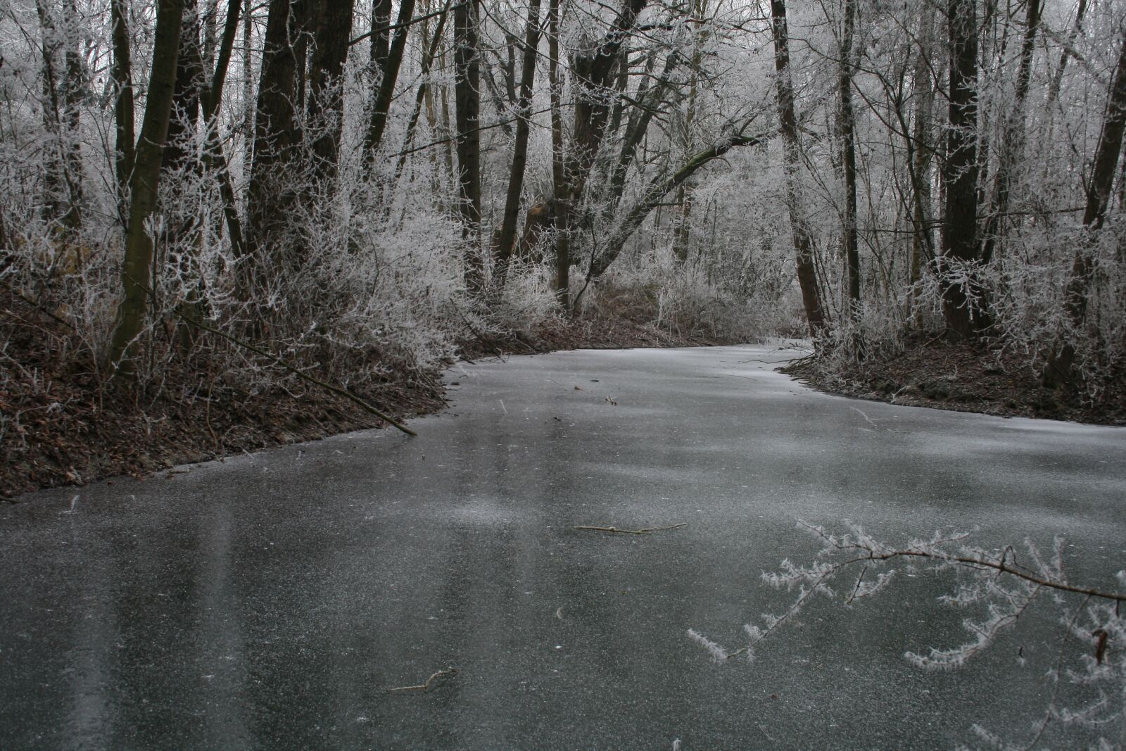 Canon EOS 400D (EOS Digital Rebel XTi / EOS Kiss Digital X) sample photo. Winterwonderland, ice, snow photography