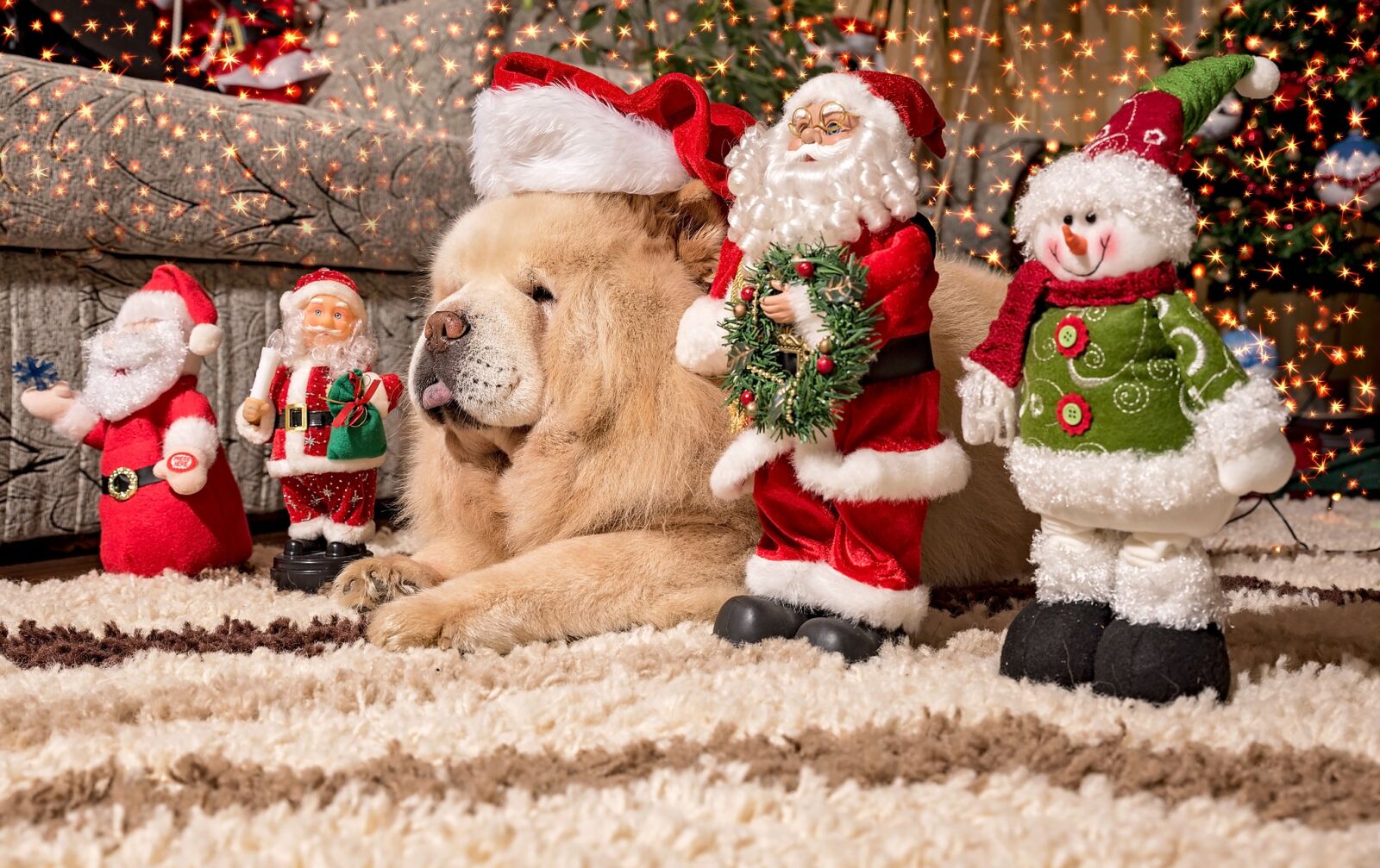 Nikon D750 sample photo. Christmas, celebration, winter photography
