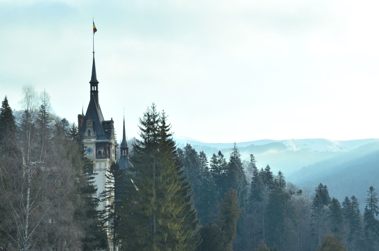 Nikon D5100 sample photo. Castle, romania, building photography
