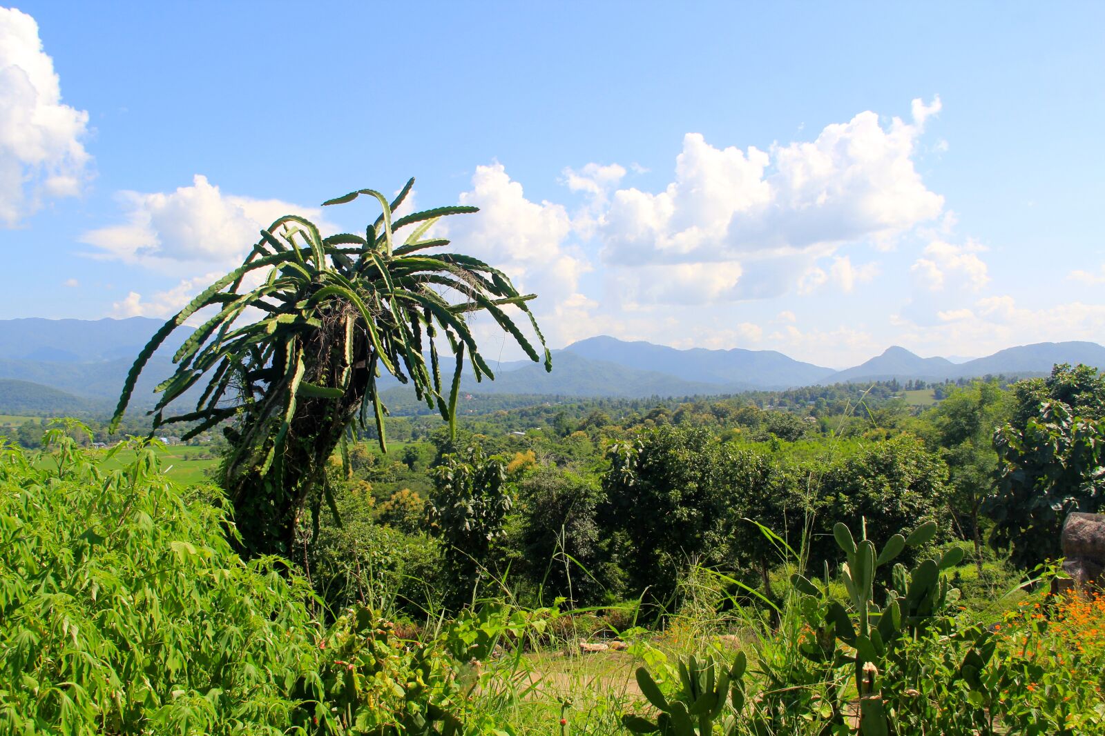 Canon EOS 60D sample photo. Pai, countryside, thailand photography