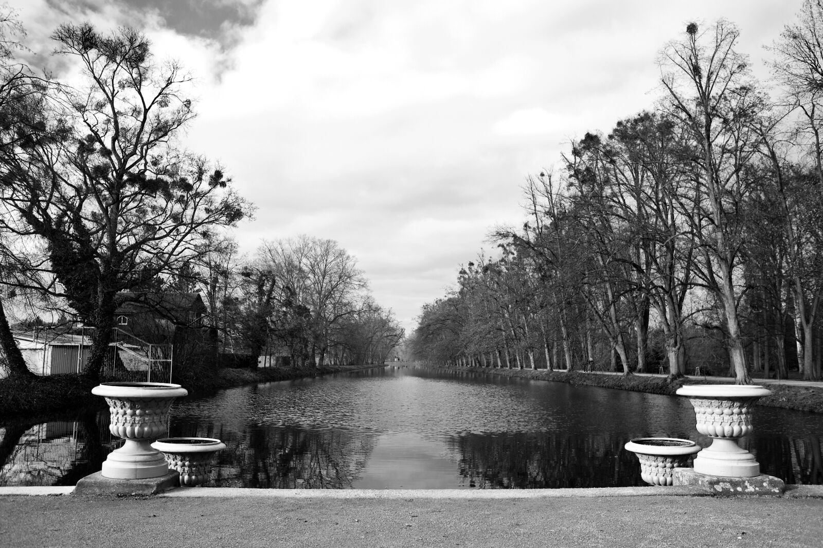 Nikon D700 sample photo. Water, flowerpot, trees photography