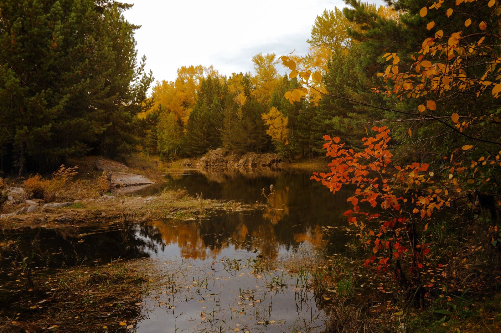 Nikon D5000 sample photo. Autumn, landscape, forest photography
