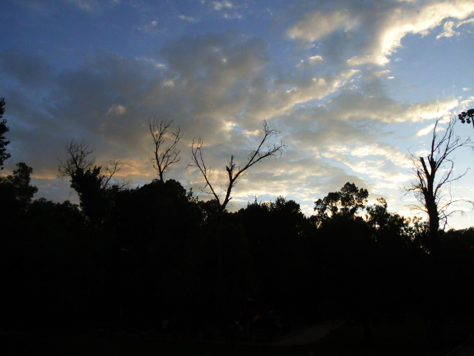 Fujifilm FinePix Z110 sample photo
