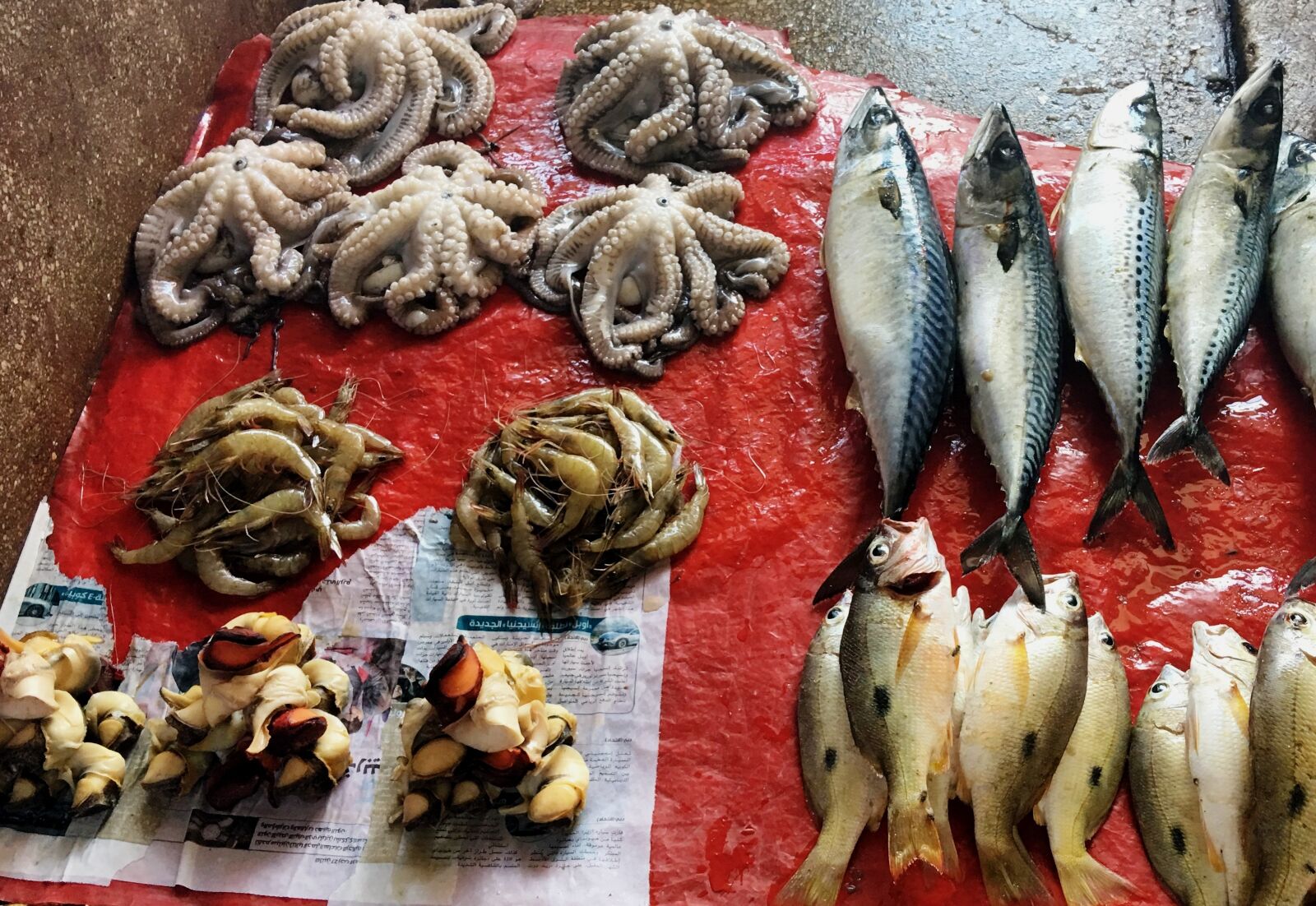 Apple iPhone 6s Plus sample photo. Fish market, fishmonger, seafood photography