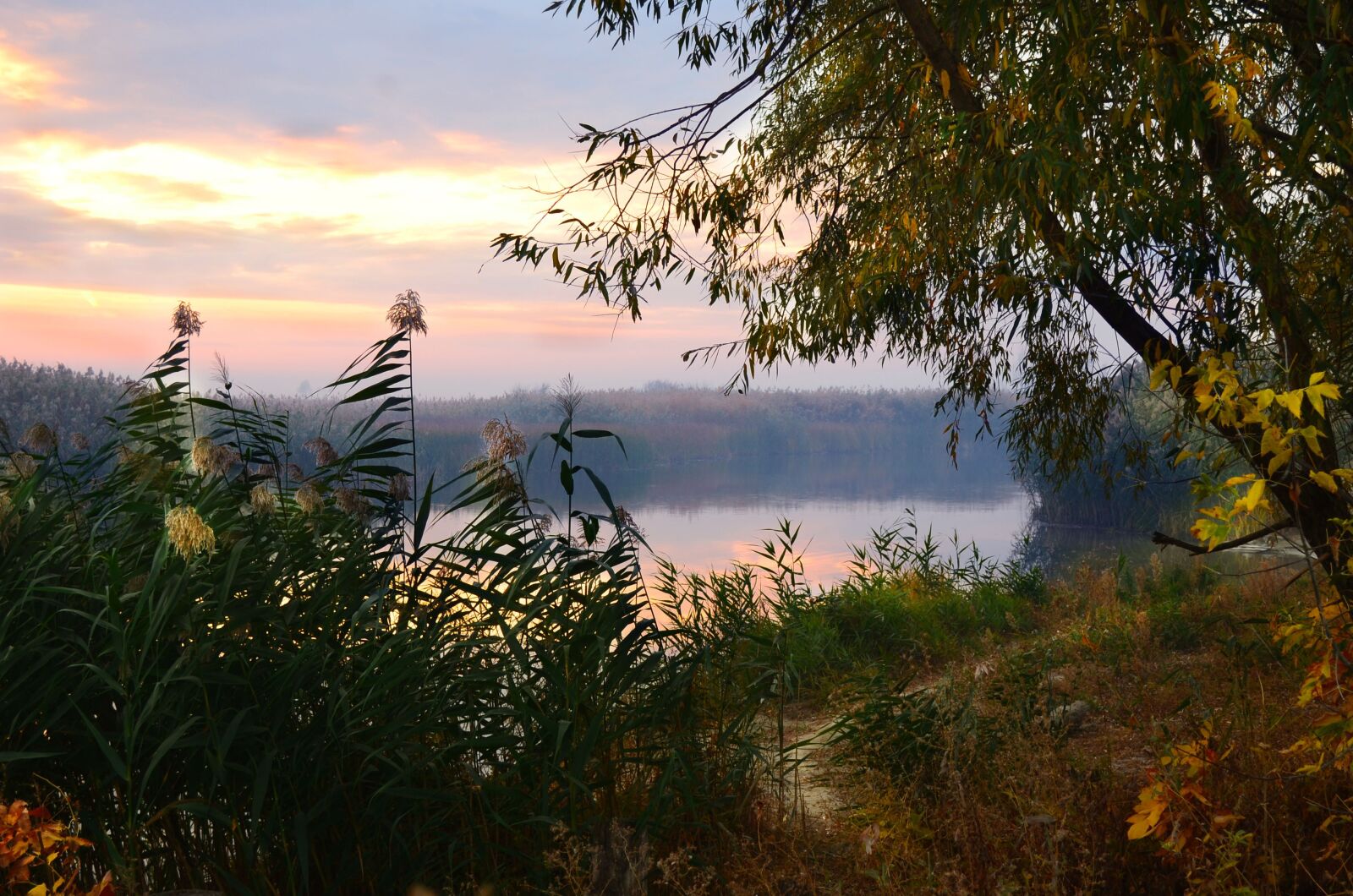 Nikon D5100 sample photo. River, morning, landscape photography
