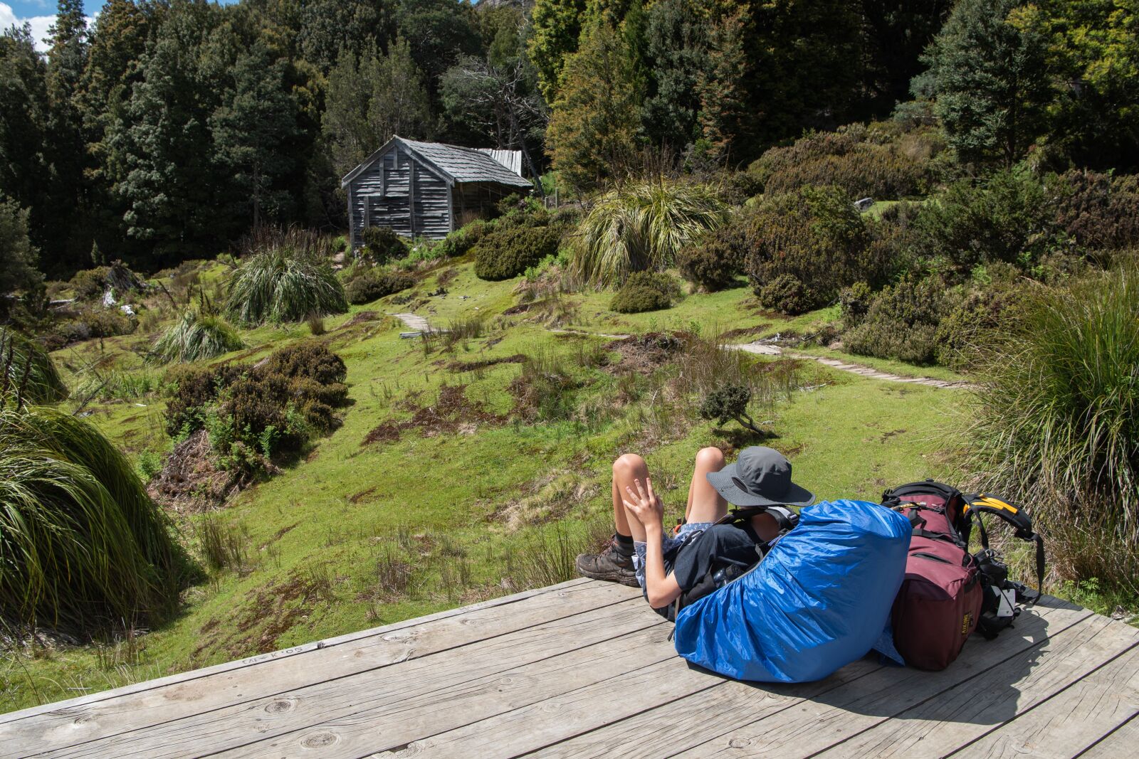 Nikon D750 sample photo. Overland track, tasmania, nature photography