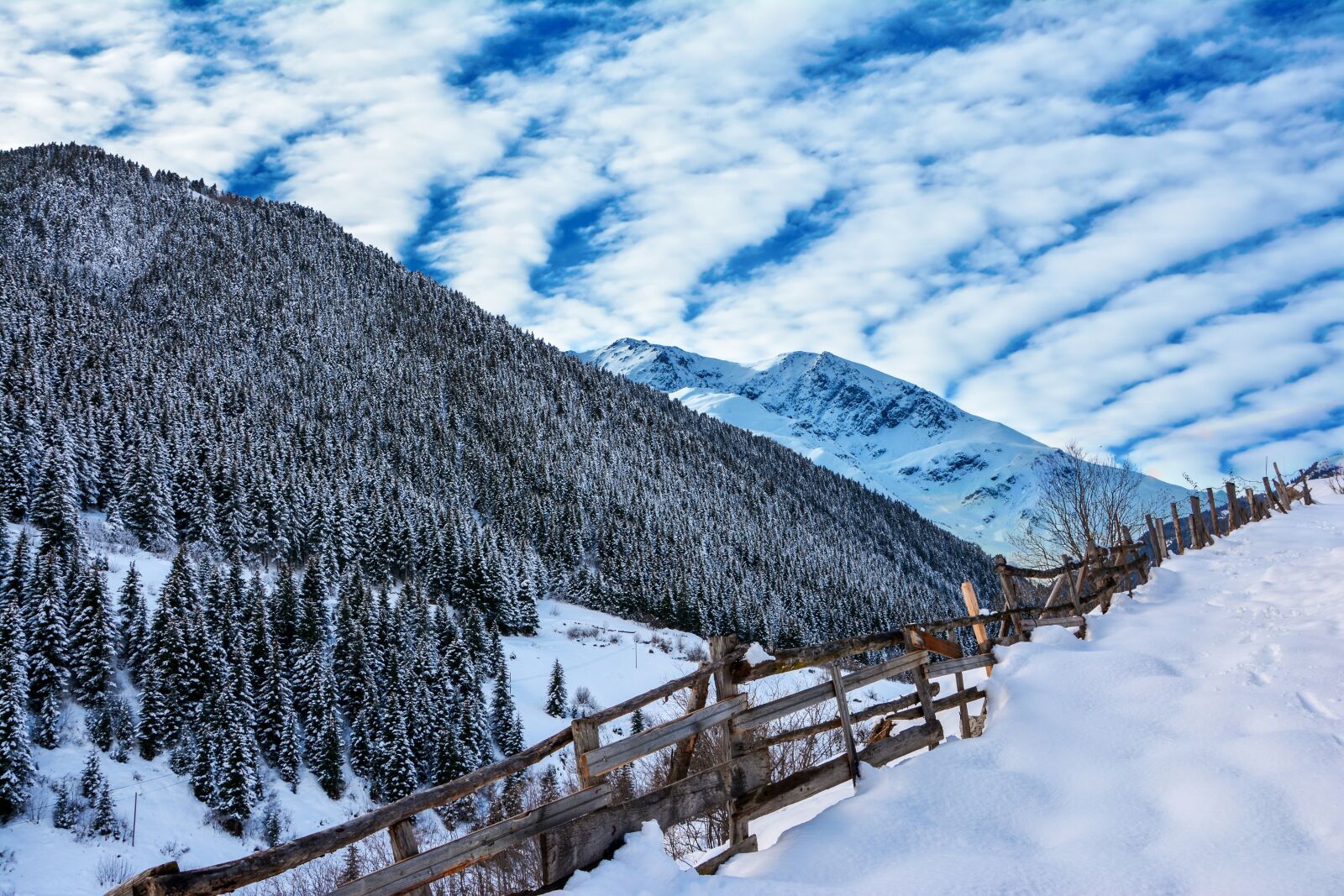 Nikon D7100 sample photo. Snow, mountain, forest photography