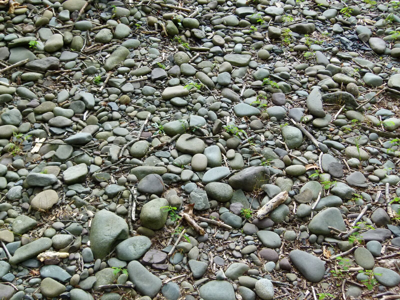 Panasonic Lumix DMC-FZ100 sample photo. River stones, stone, stones photography