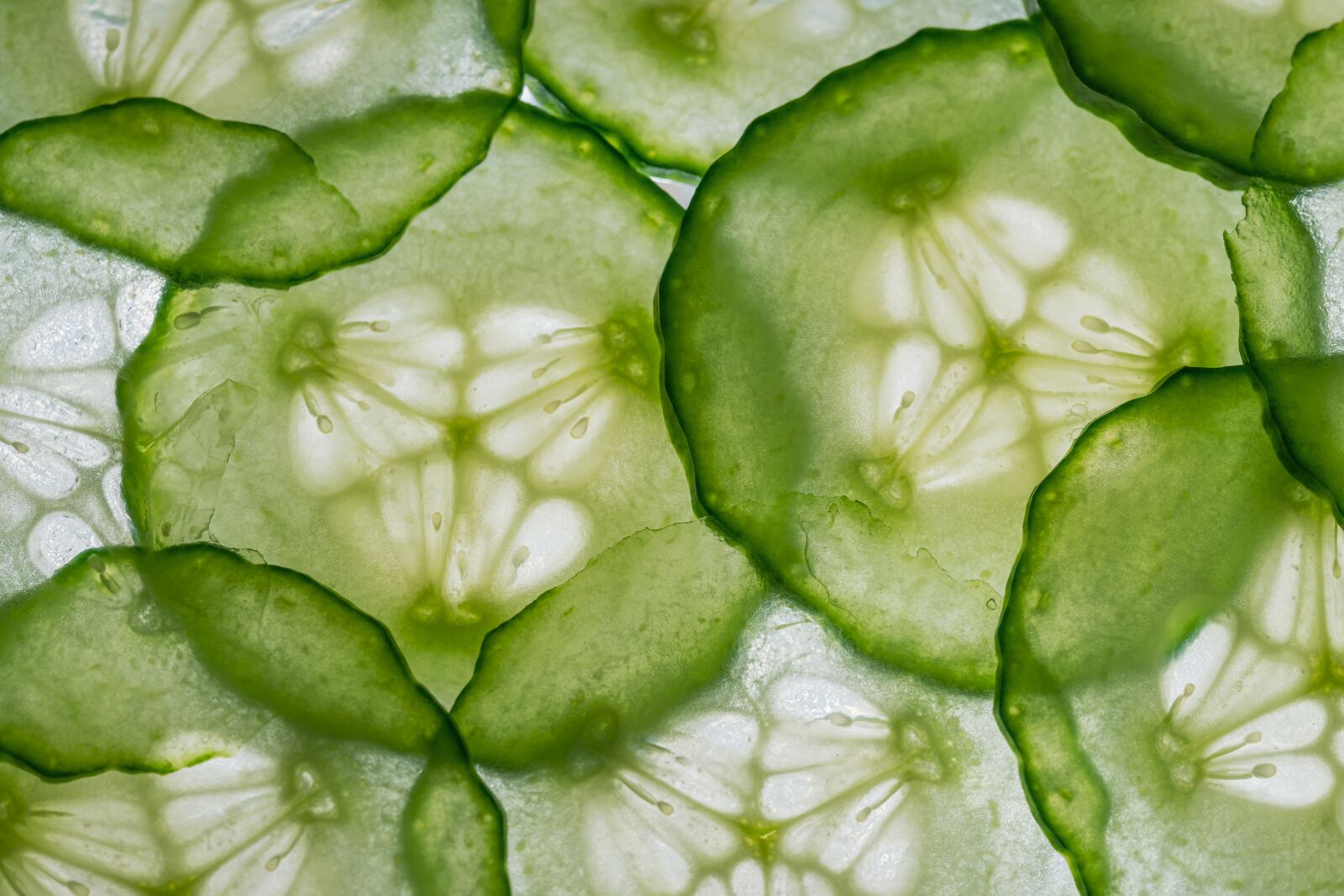 Sigma 70mm F2.8 DG Macro Art sample photo. Cucumbers, cucumber slices, cucumber photography