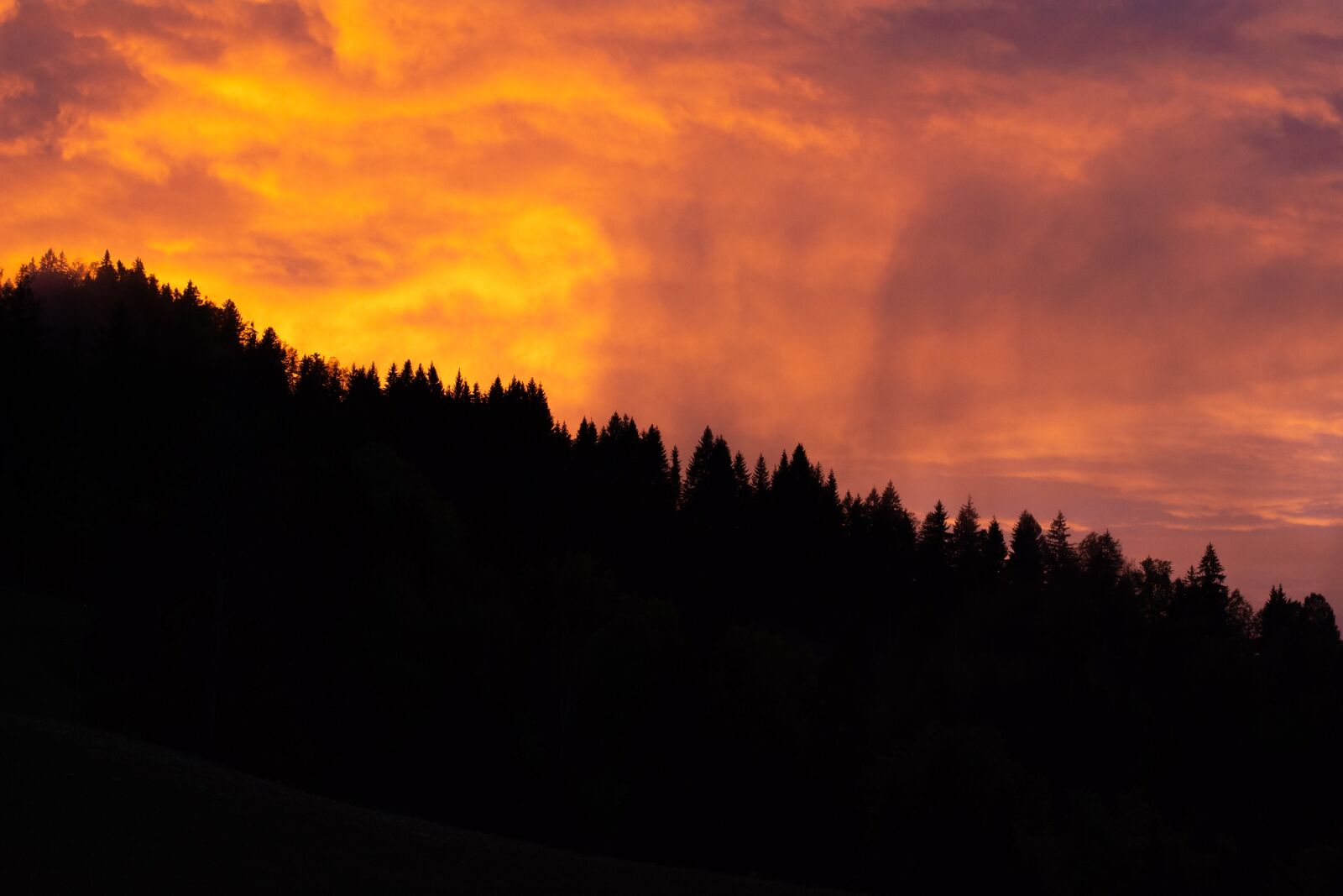 Nikon D7100 sample photo. Sky, forests, trees photography