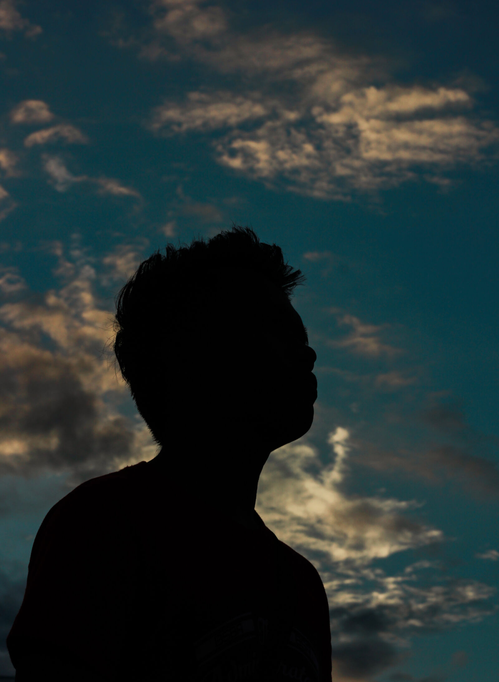 Canon EOS 60D + Canon EF 50mm F1.8 STM sample photo. Boy, emotions, silhouette, sunset photography