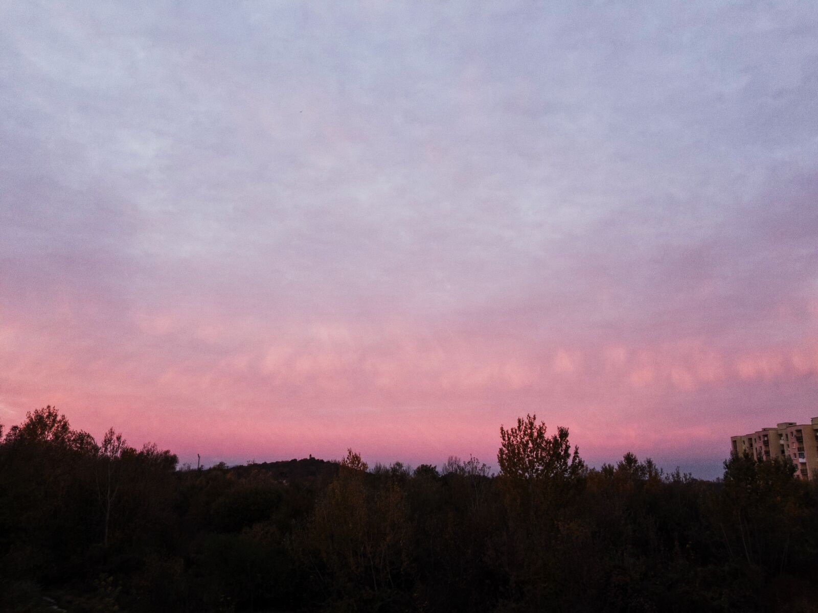 Apple iPhone 6s sample photo. Clouds, iphone, 6s, pink photography