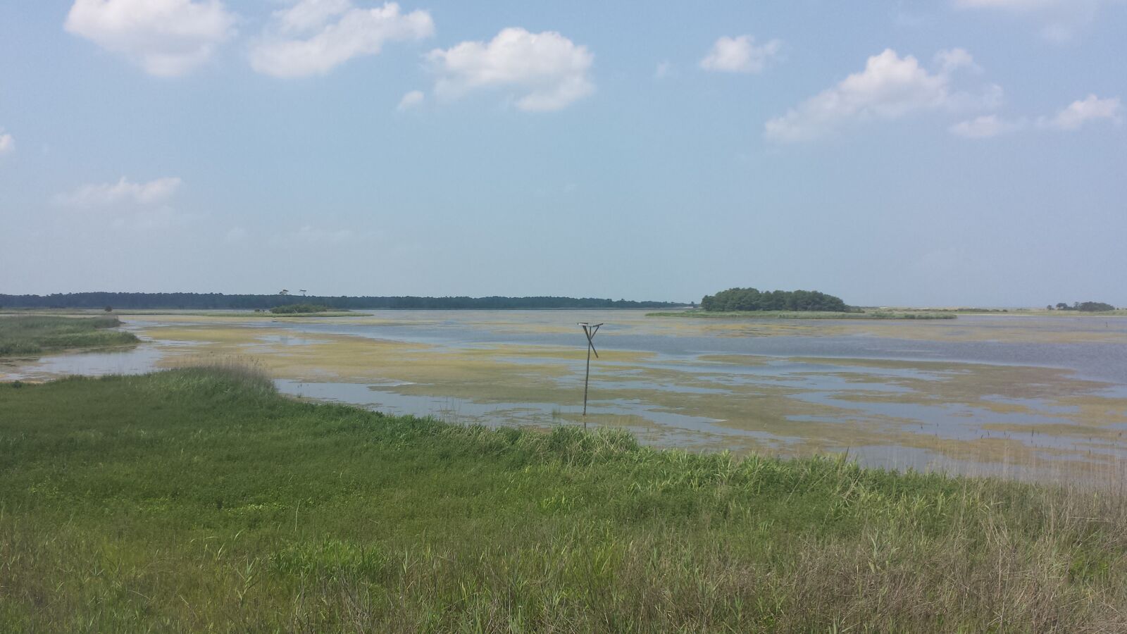 Samsung Galaxy S4 sample photo. Beach, water, nature photography
