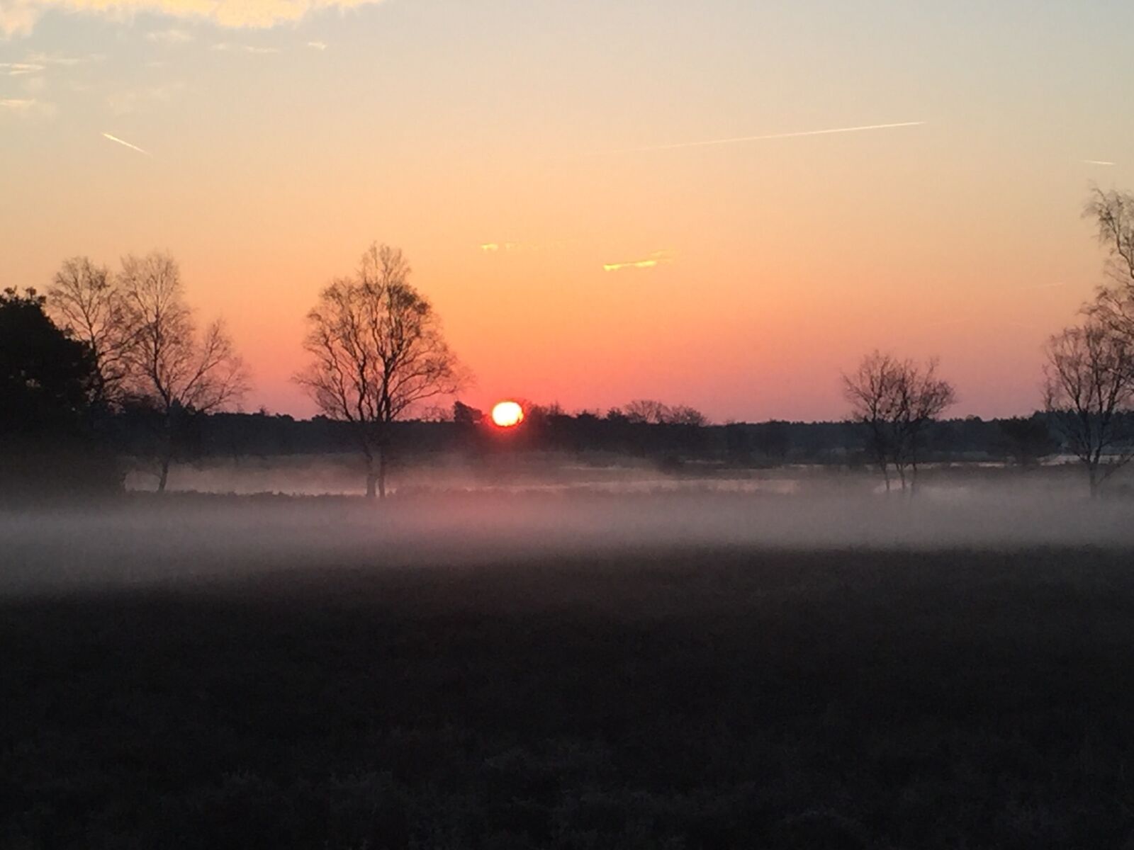 Apple iPhone 6 sample photo. Morning sun, nature, landscape photography