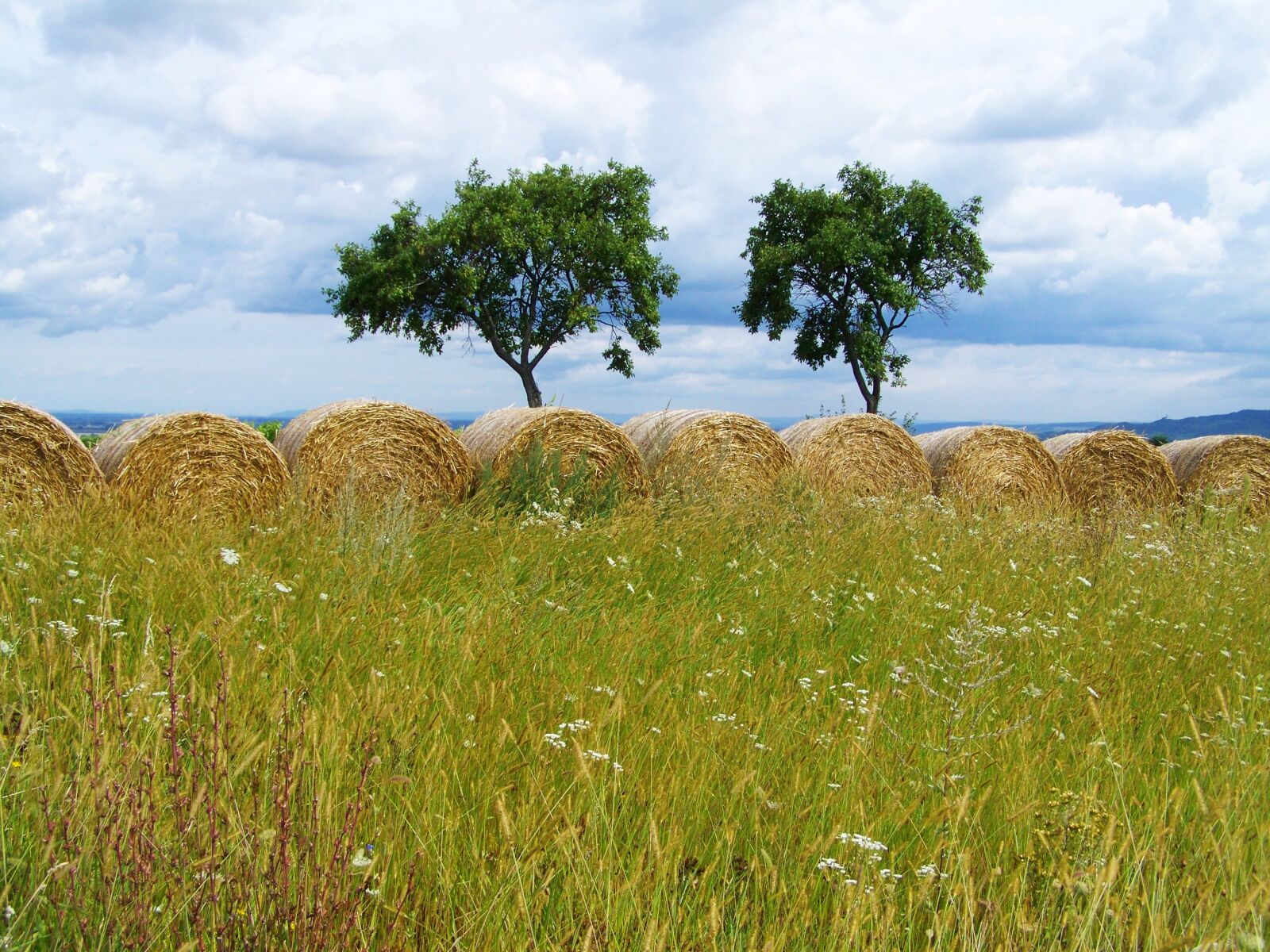 Kodak EASYSHARE ZD710 ZOOM DIGITAL CAMERA sample photo. Straw bales, rural landscape photography