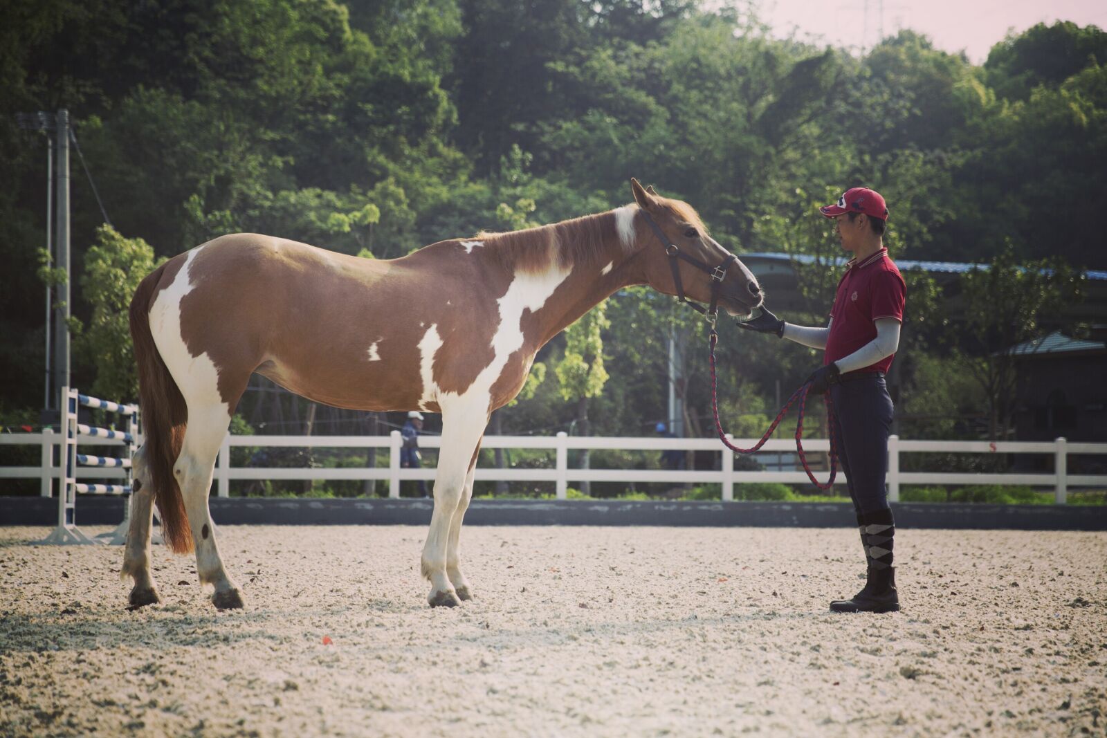 Canon EF 24-70mm F2.8L II USM sample photo. Horse, riding, equestrian photography