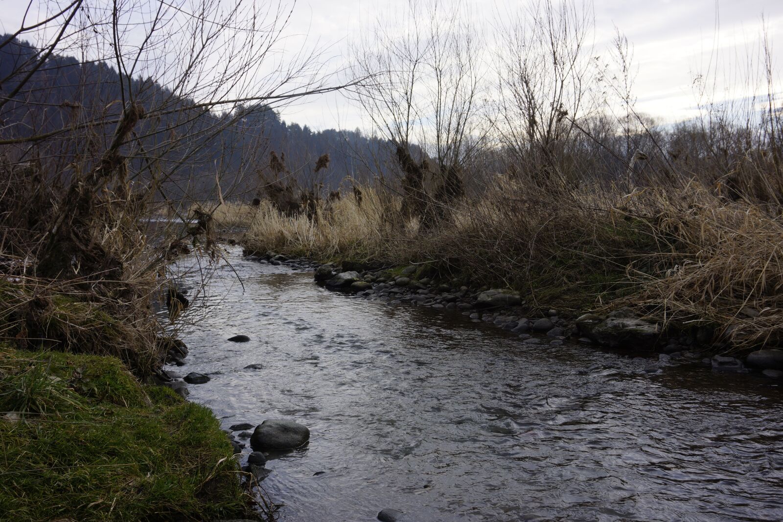 Sony Alpha NEX-7 + Sony E 16-50mm F3.5-5.6 PZ OSS sample photo. River, nature, pieniny photography