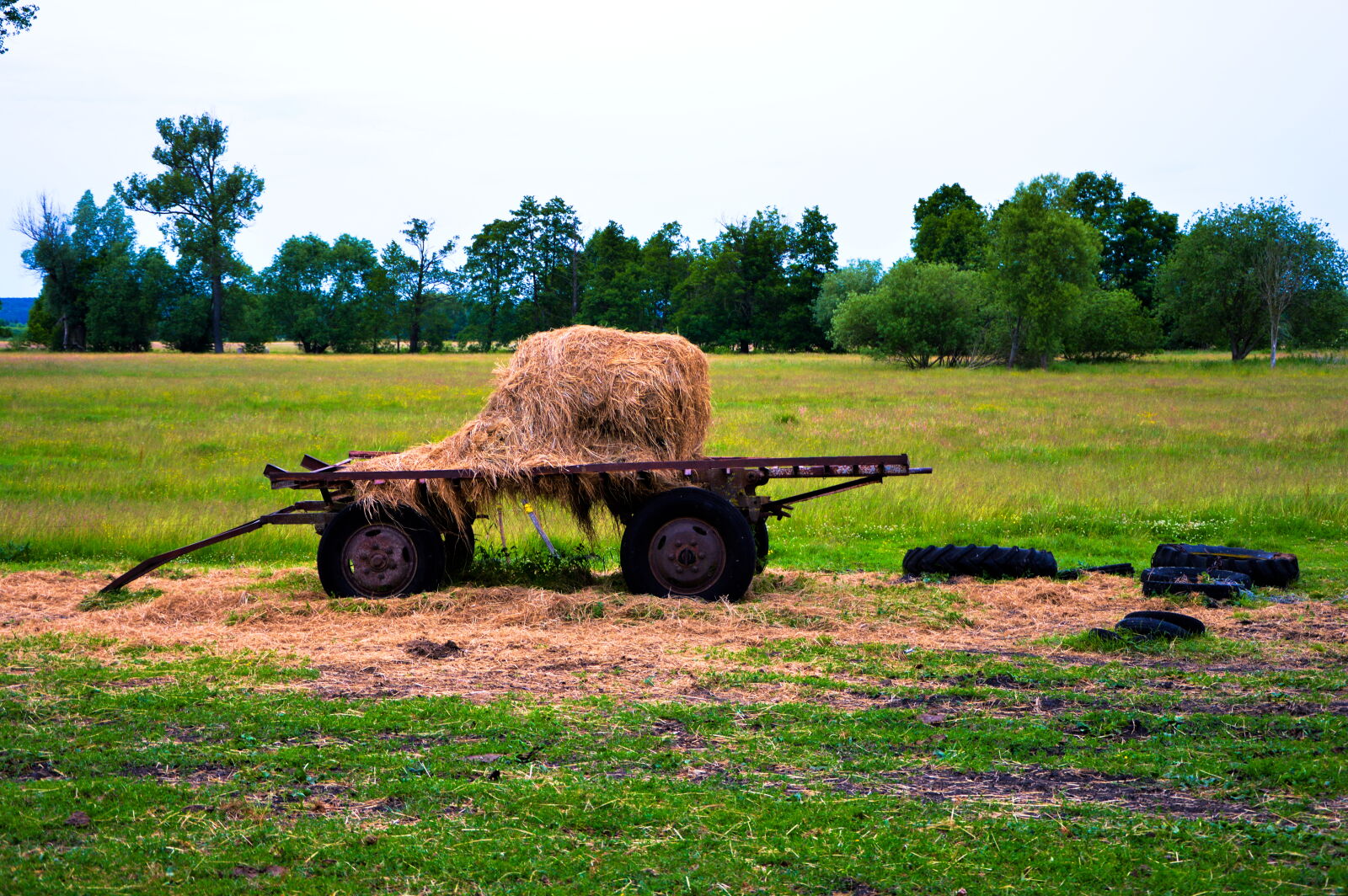 Nikon D3200 sample photo